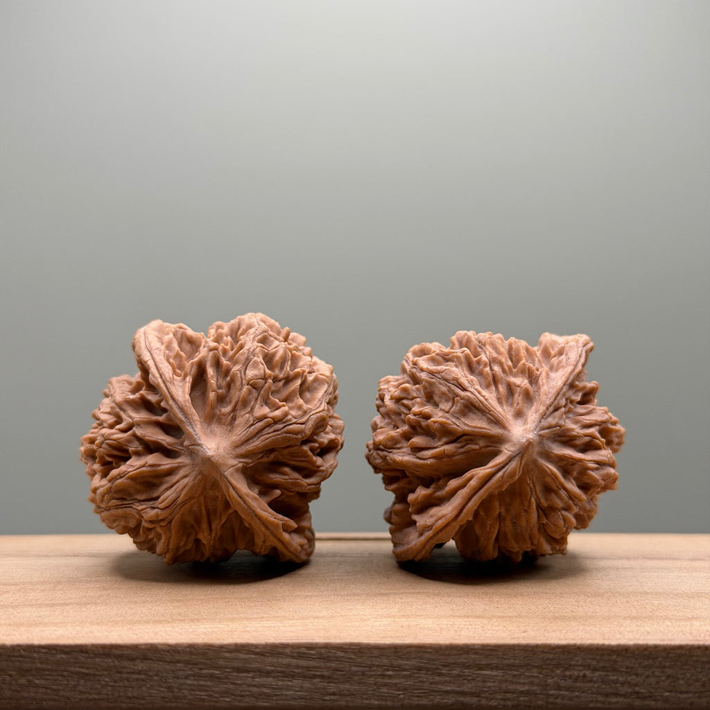 Coiled Dragon(Pan Long Wen) Lion Head Walnut