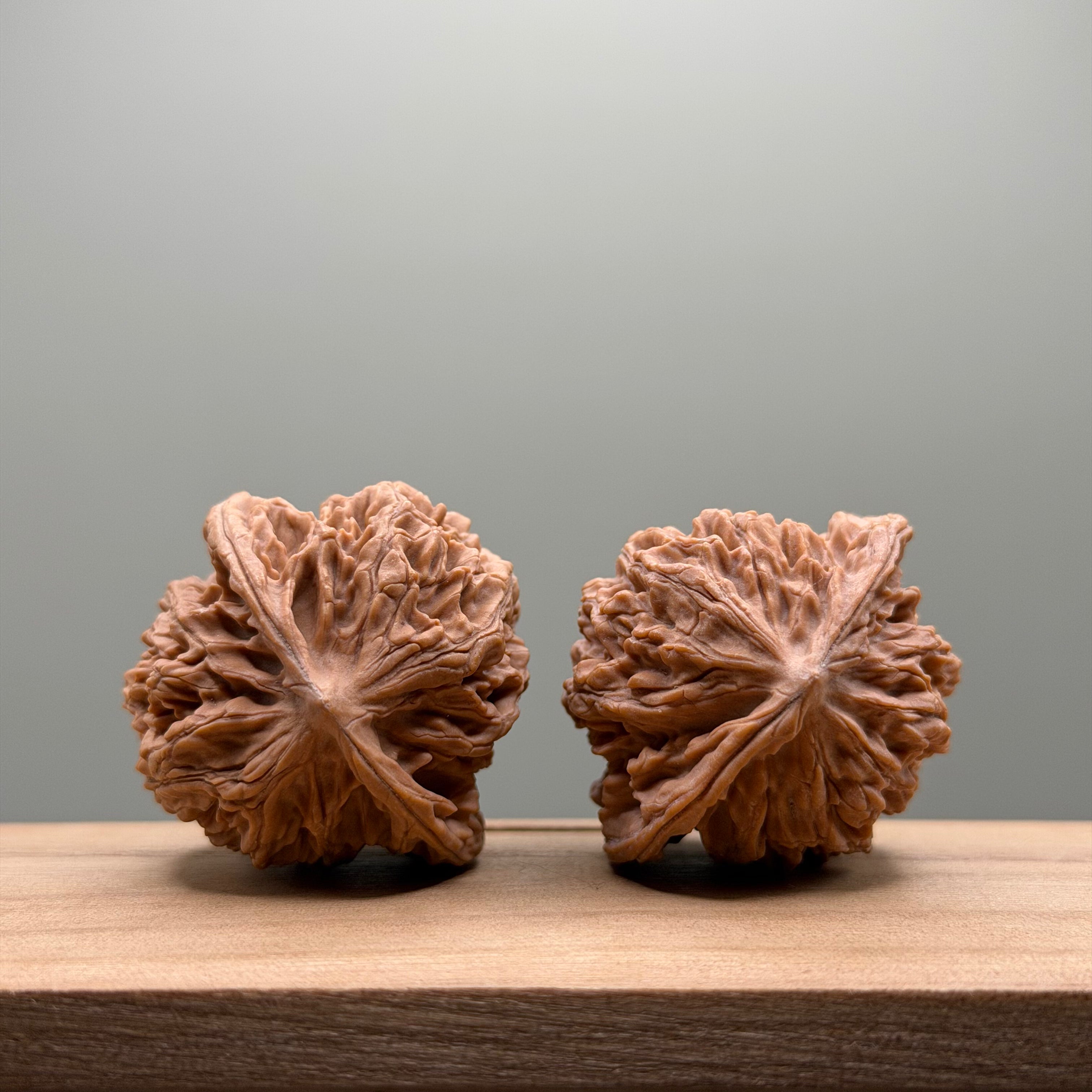 Coiled Dragon(Pan Long Wen) Lion Head Walnut
