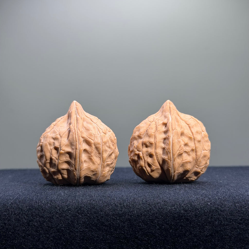 Turtle Shell Wenwan Walnut · 31mm · Natural · Entry Ritual