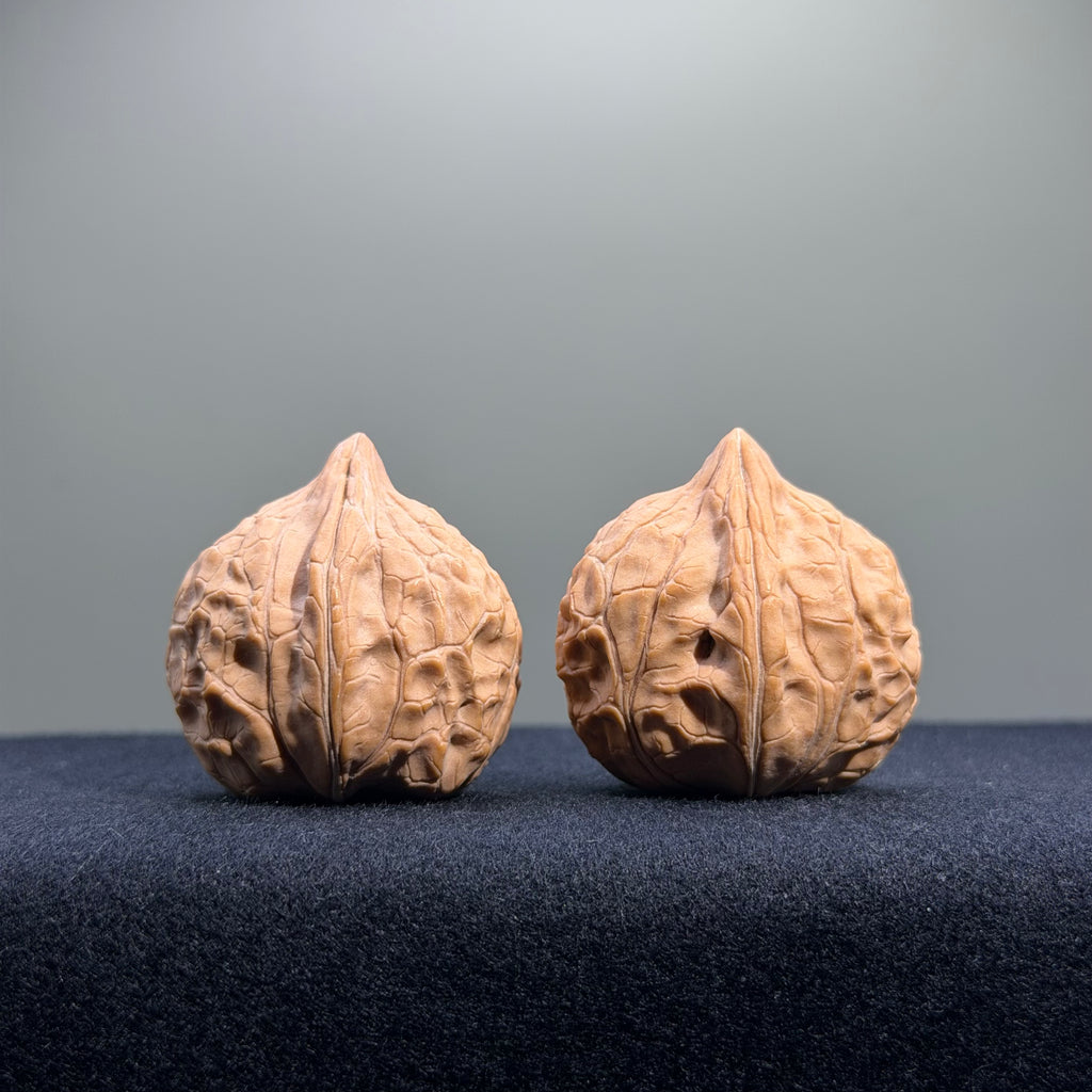 Turtle Shell Wenwan Walnut · 31mm · Natural · Entry Ritual