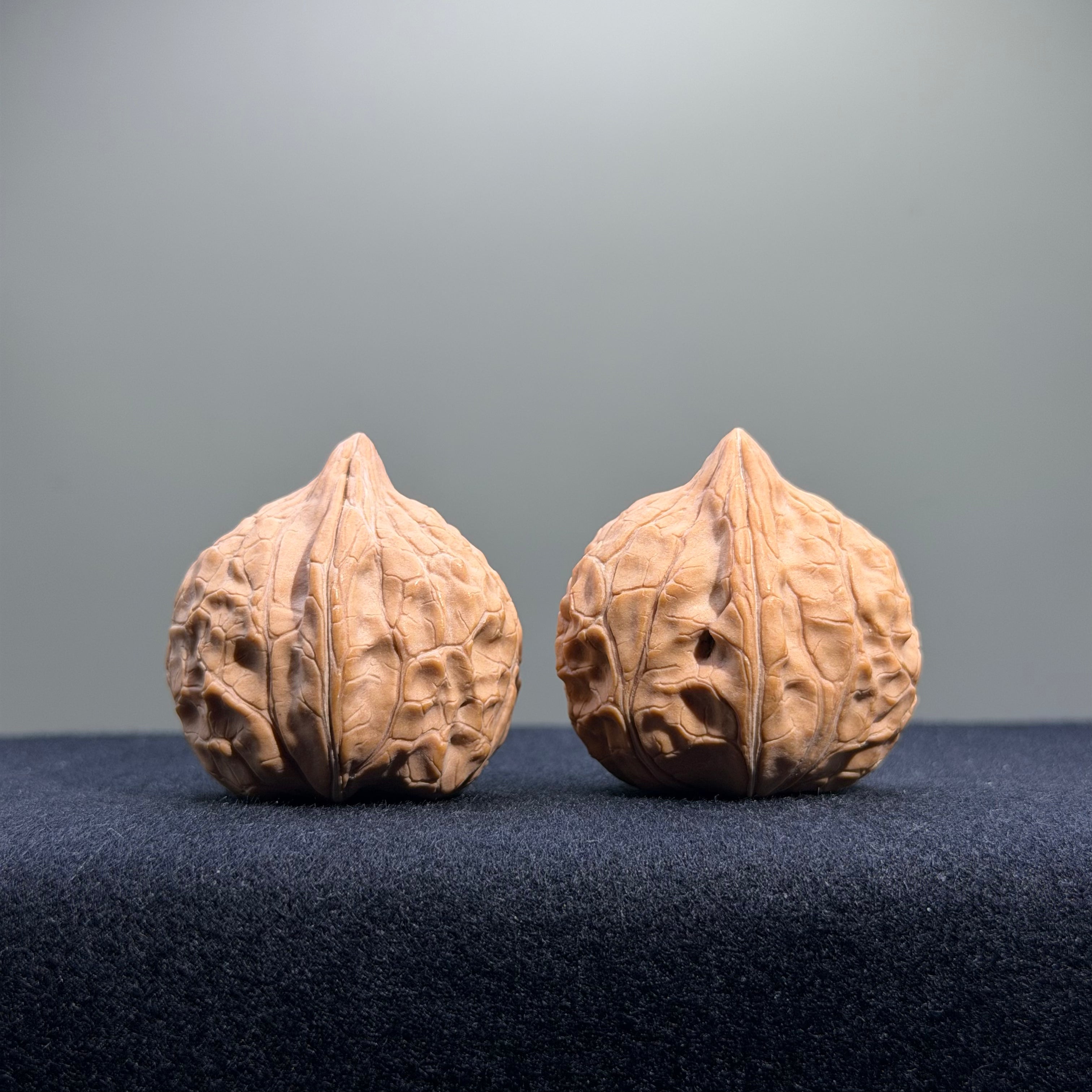 Turtle Shell Wenwan Walnut · 31mm · Natural · Entry Ritual