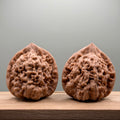 Official Hat Wenwan Walnut