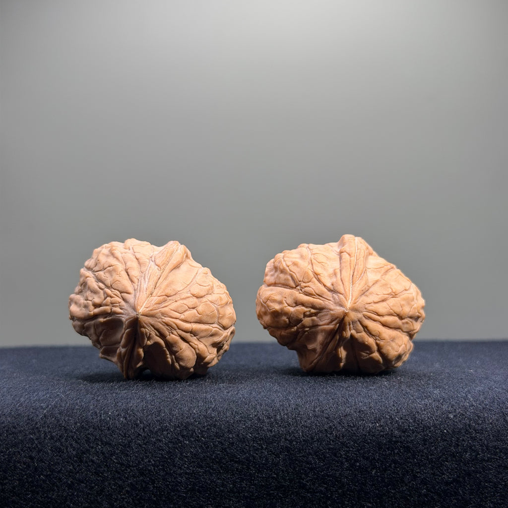 Turtle Shell Wenwan Walnut · 31mm · Natural · Entry Ritual