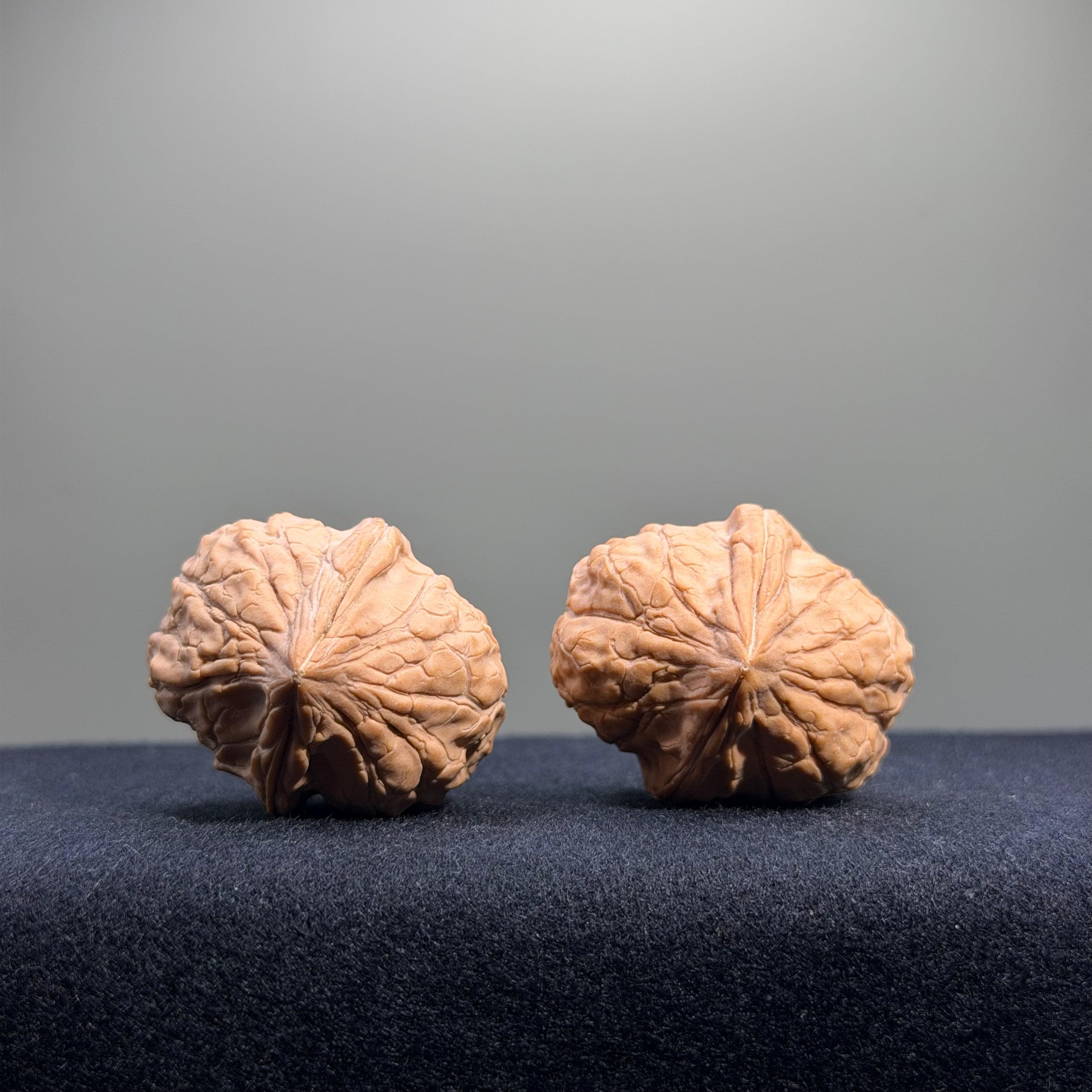 Turtle Shell Wenwan Walnut · 31mm · Natural · Entry Ritual