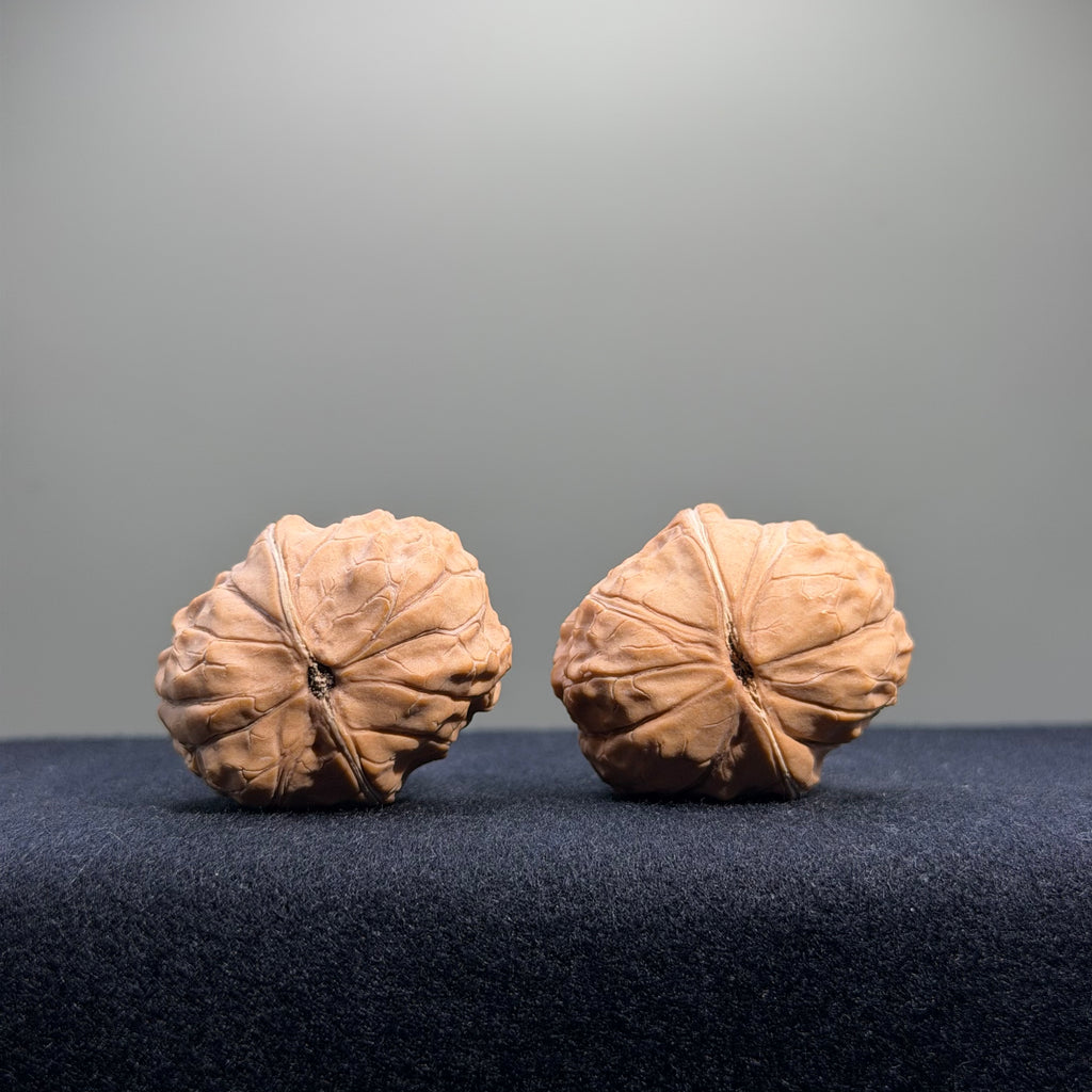 Turtle Shell Wenwan Walnut · 31mm · Natural · Entry Ritual