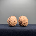 Turtle Shell Wenwan Walnut · 31mm · Natural · Entry Ritual