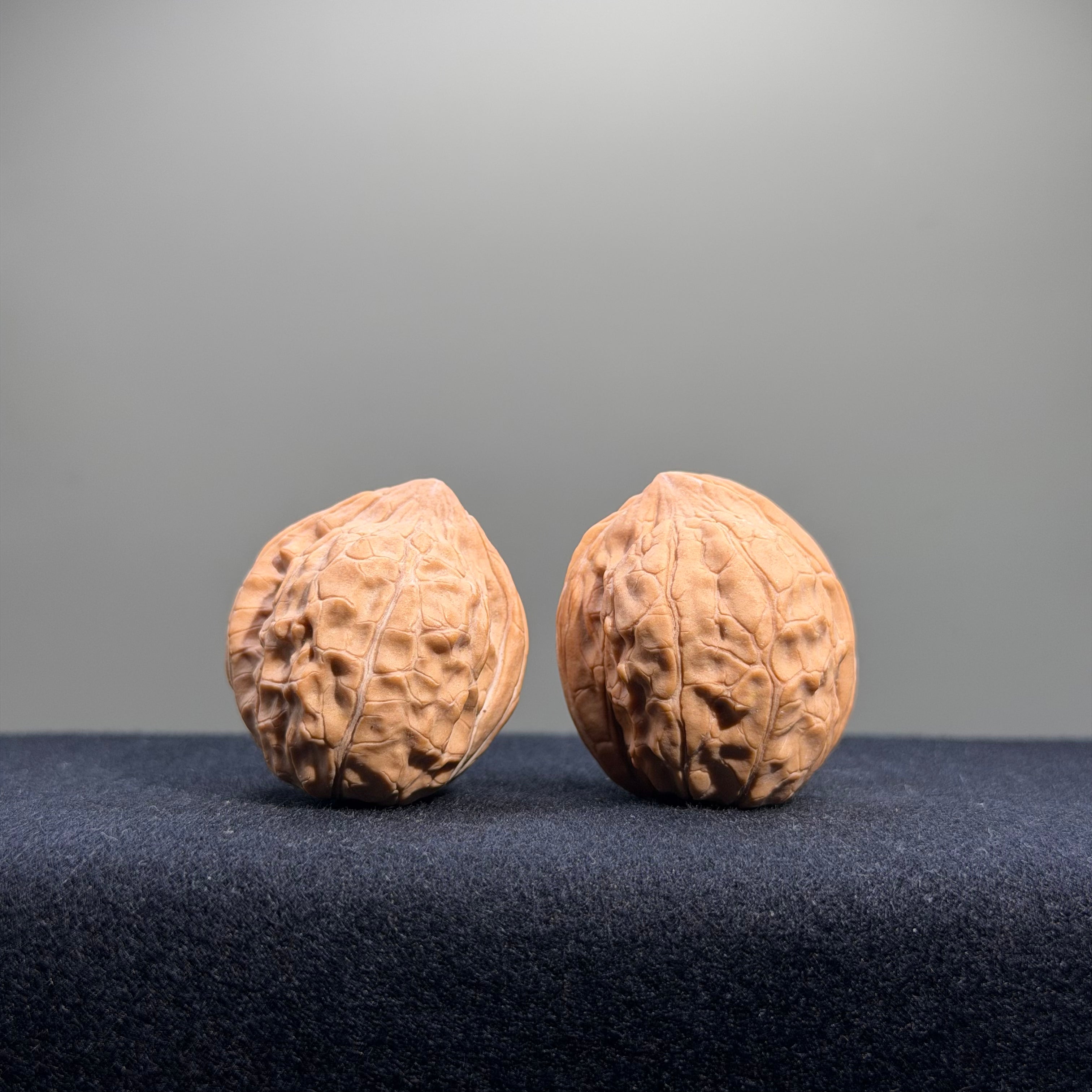 Turtle Shell Wenwan Walnut · 31mm · Natural · Entry Ritual