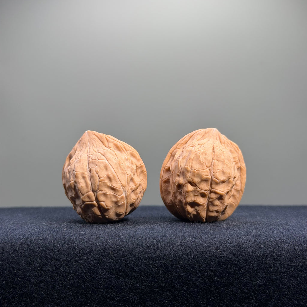 Turtle Shell Wenwan Walnut · 31mm · Natural · Entry Ritual