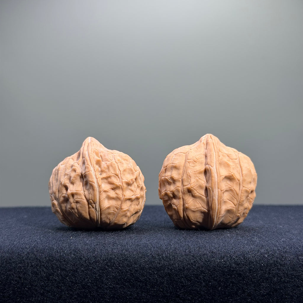 Turtle Shell Wenwan Walnut · 31mm · Natural · Entry Ritual