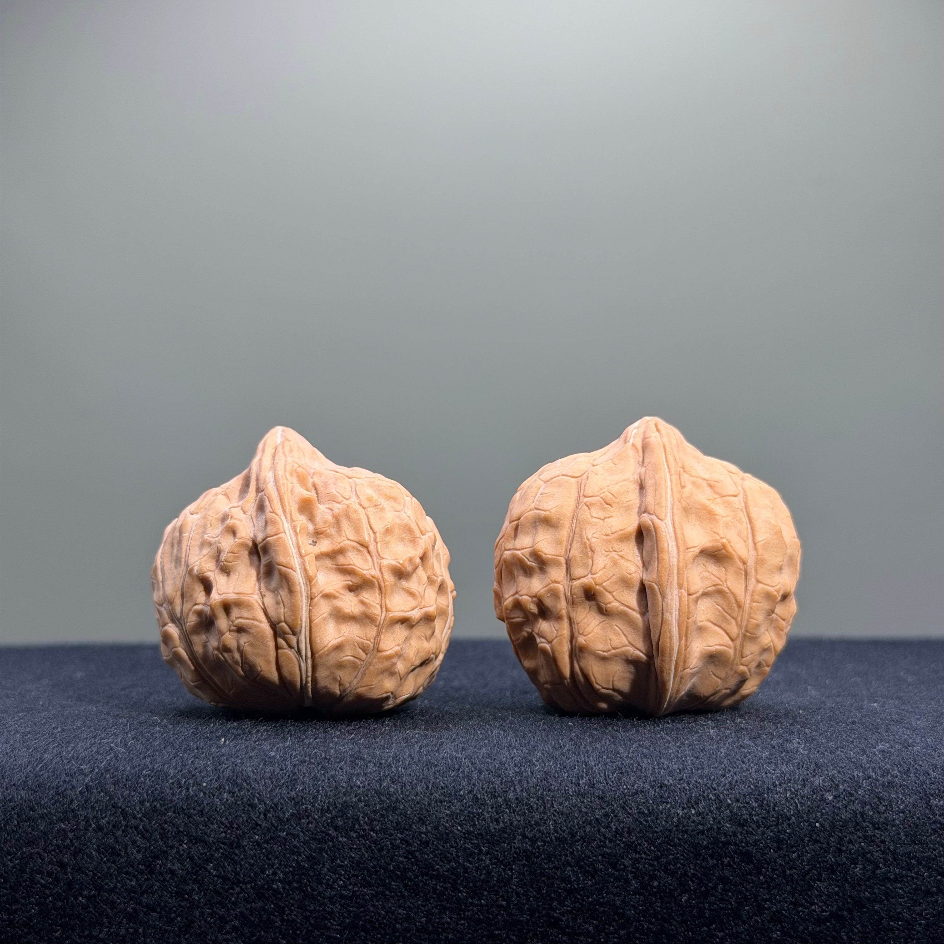 Turtle Shell Wenwan Walnut · 31mm · Natural · Entry Ritual