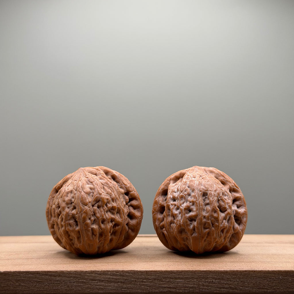 Hammer Lion Head Walnut