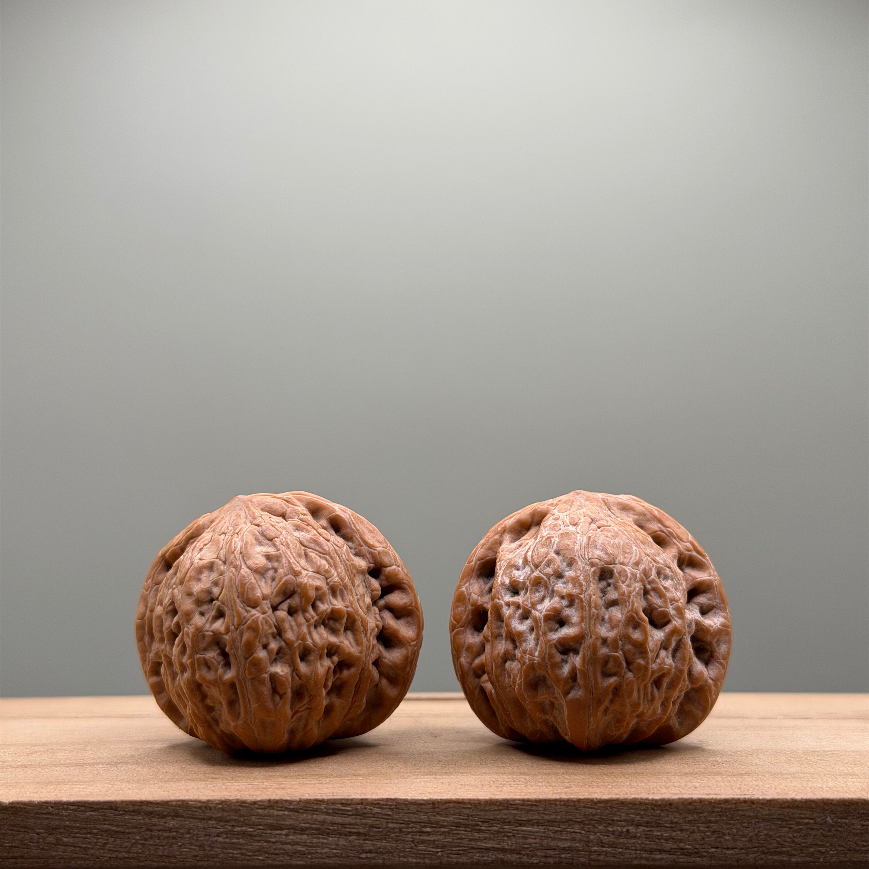 Hammer Lion Head Walnut