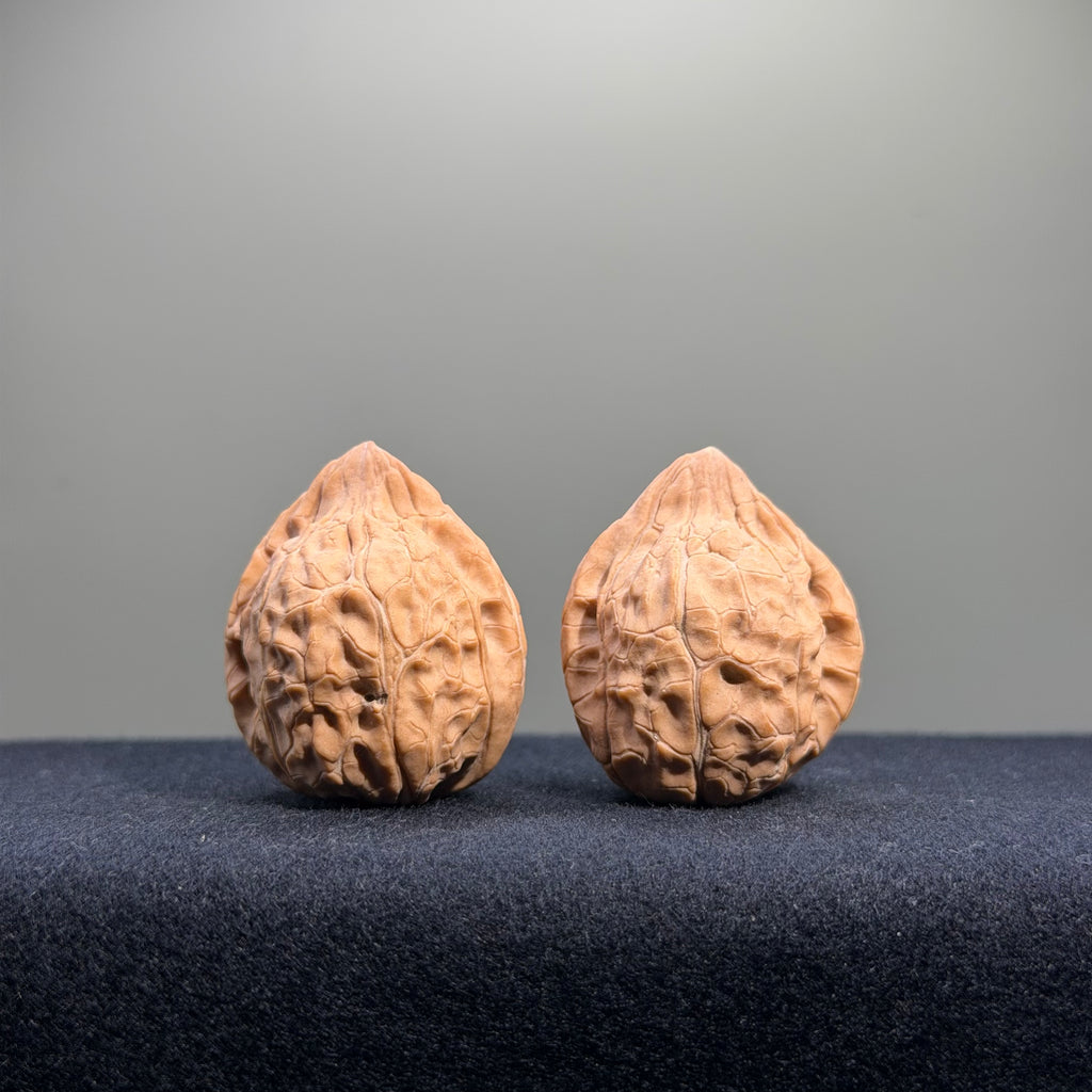 Turtle Shell Wenwan Walnut · 31mm · Natural · Entry Ritual