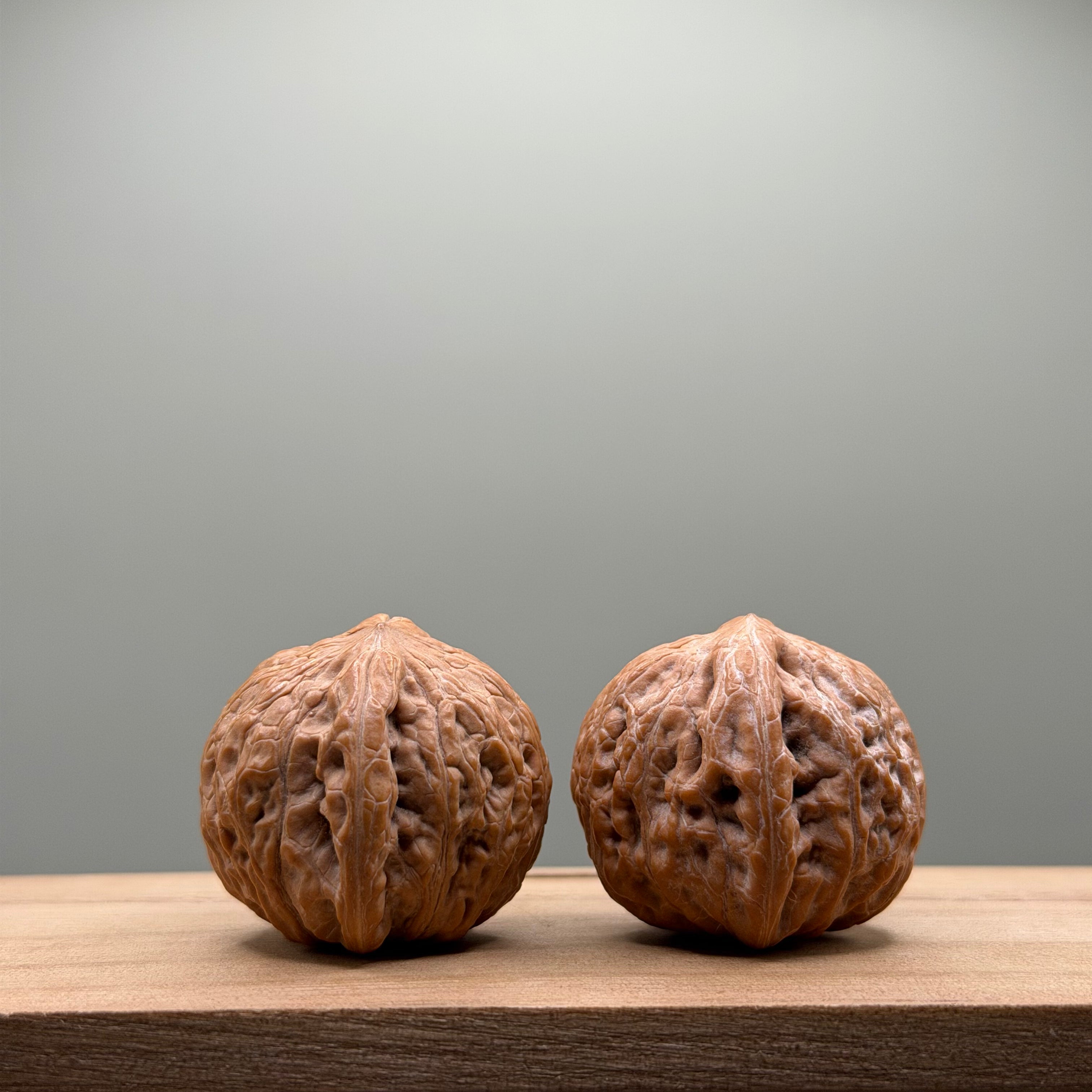 Hammer Lion Head Walnut