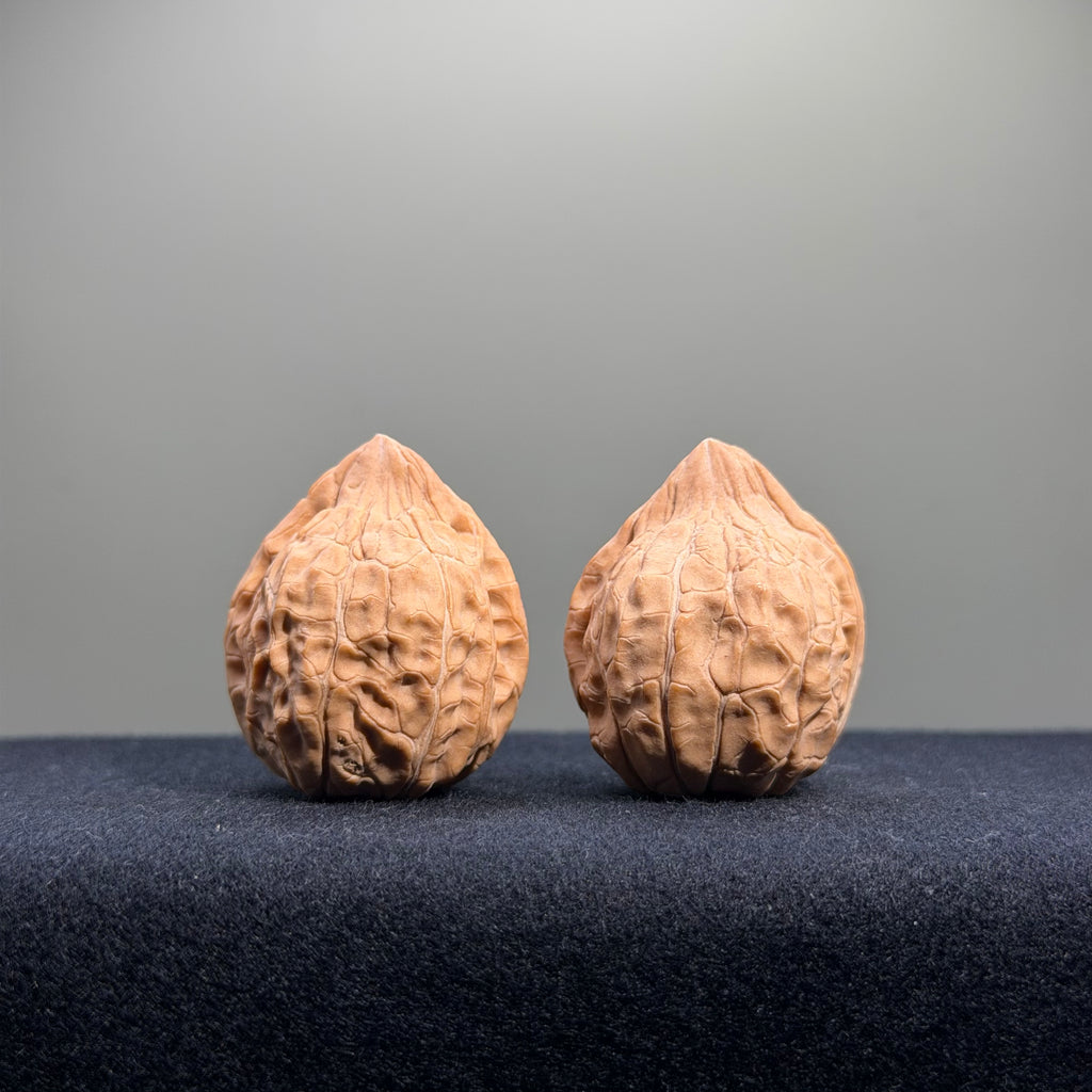 Turtle Shell Wenwan Walnut · 31mm · Natural · Entry Ritual