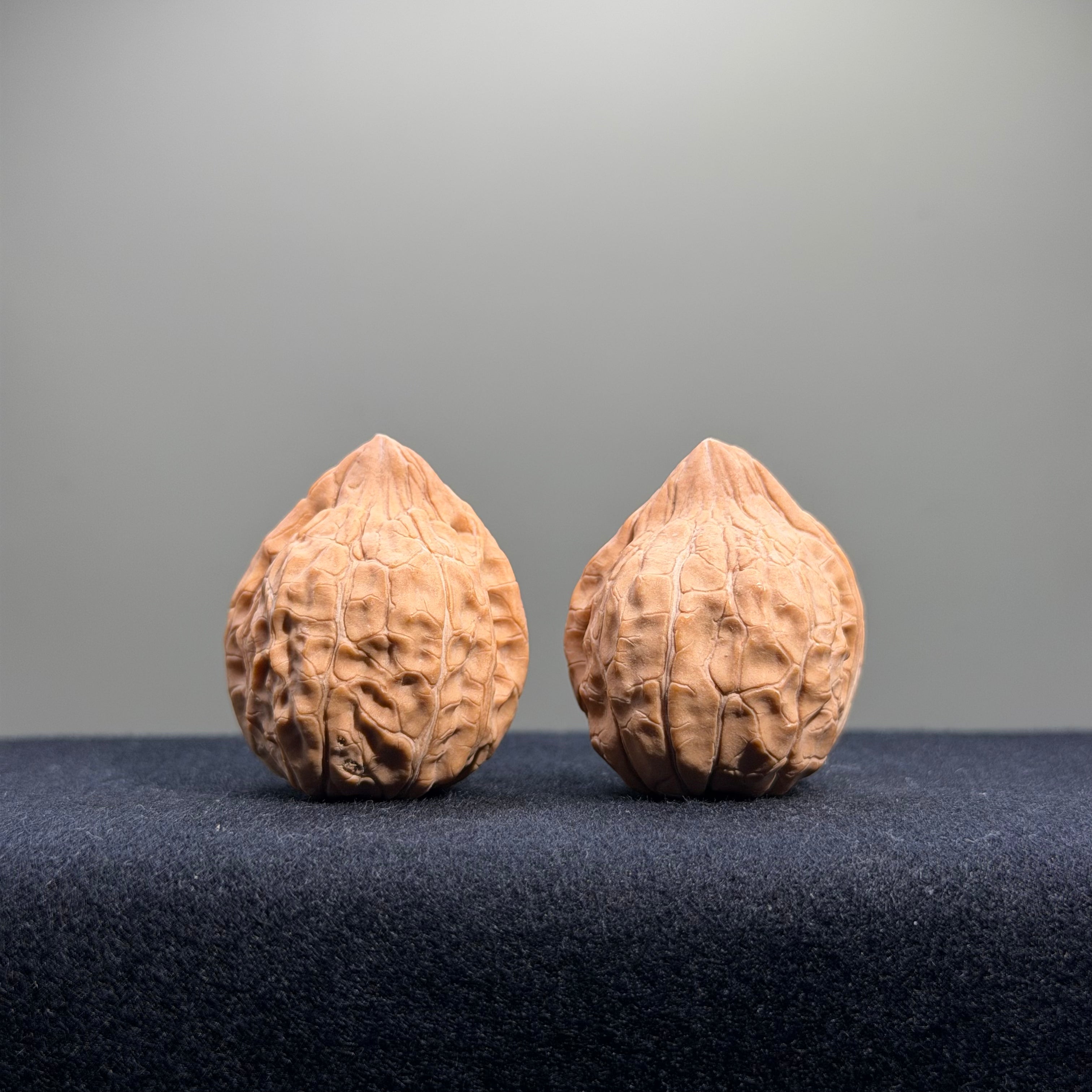 Turtle Shell Wenwan Walnut · 31mm · Natural · Entry Ritual