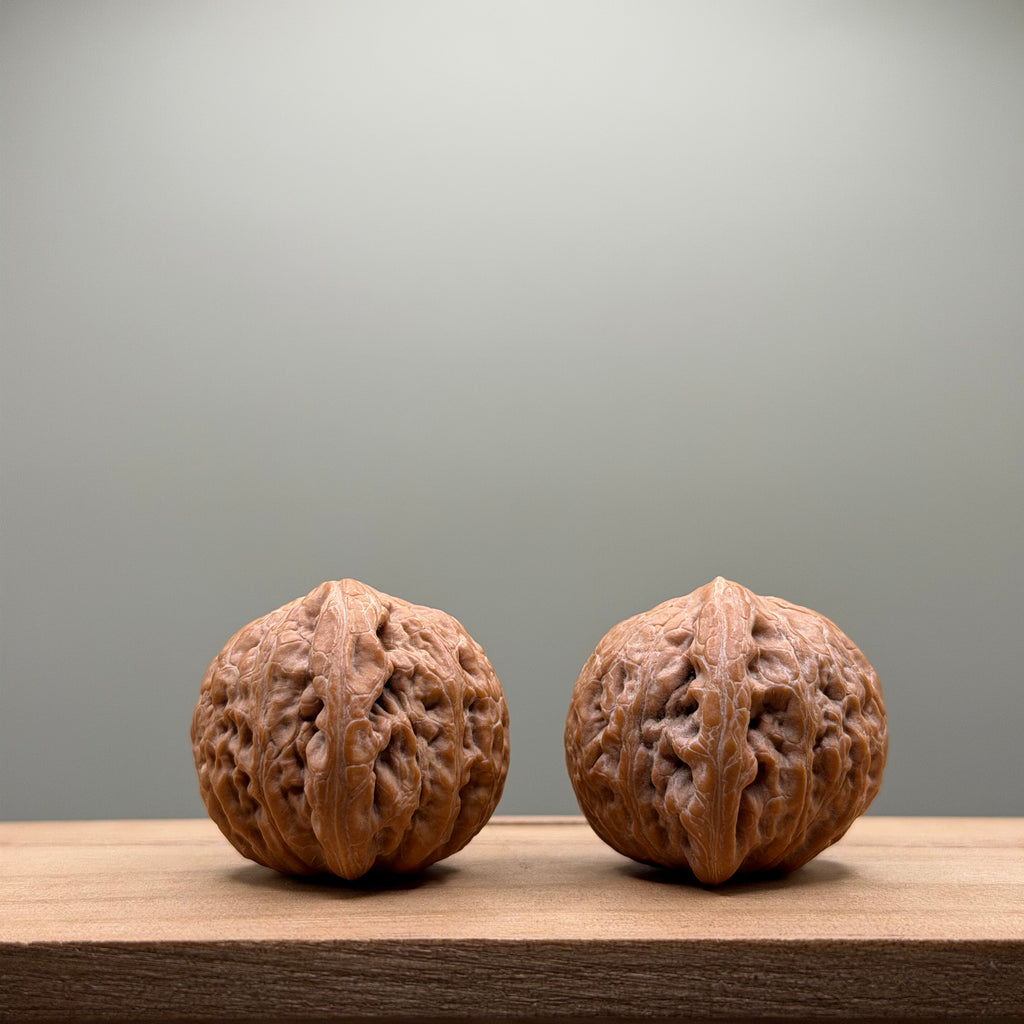 Hammer Lion Head Walnut
