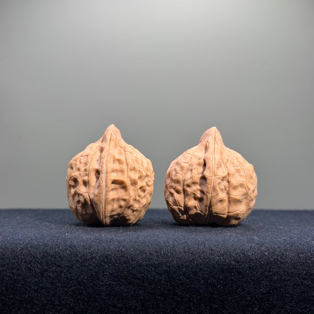 Turtle Shell Wenwan Walnut · 31mm · Natural · Entry Ritual