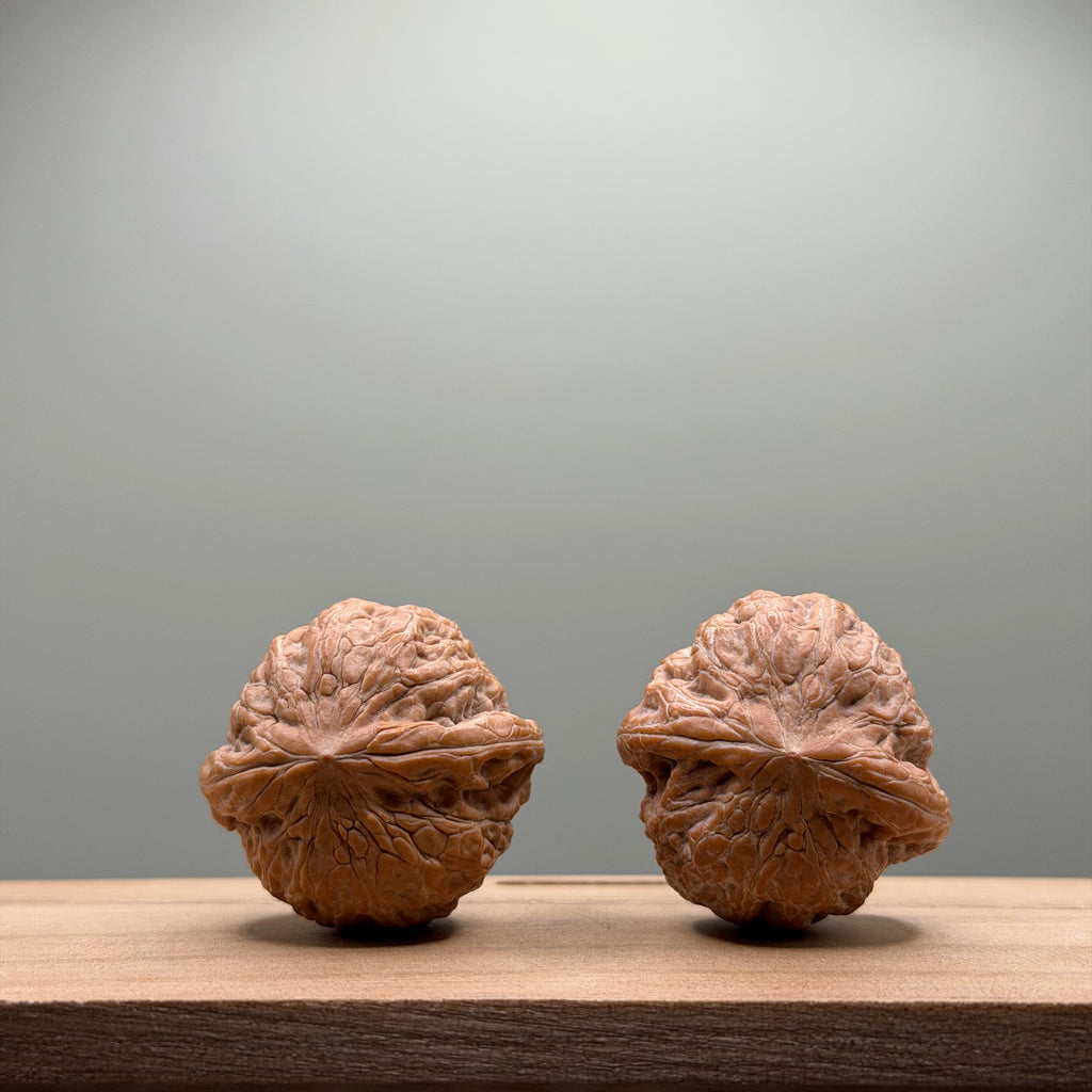 Hammer Lion Head Walnut