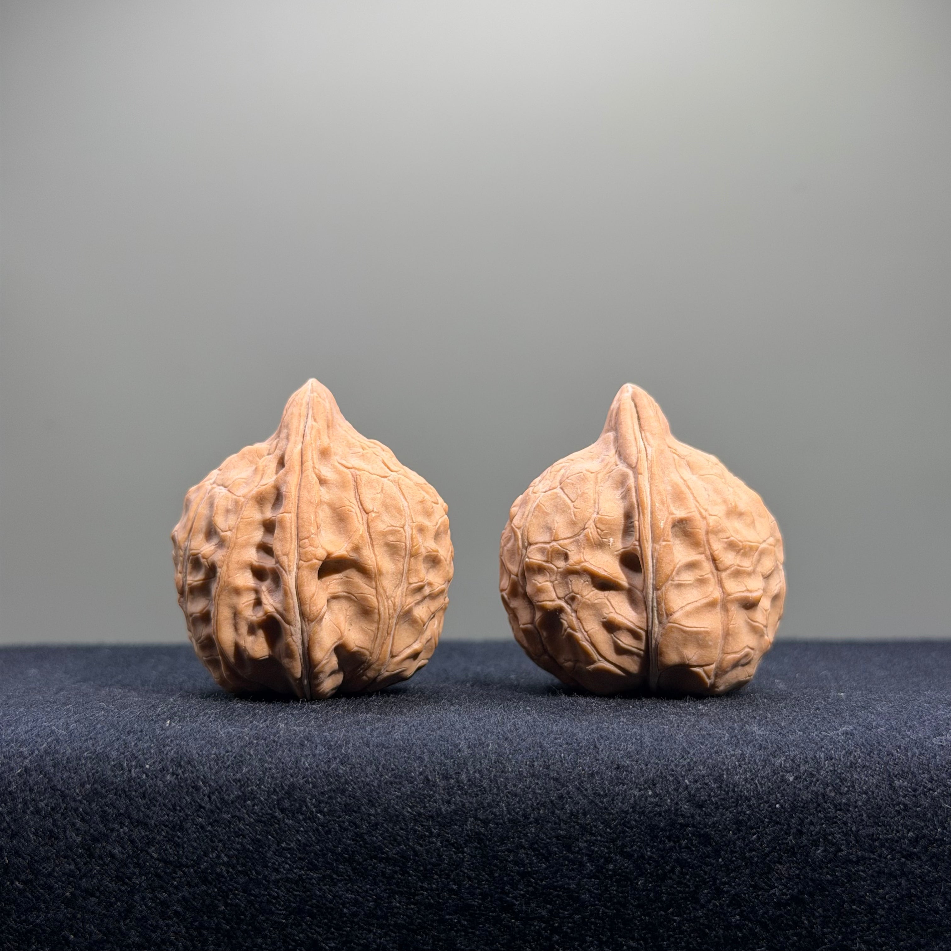Turtle Shell Wenwan Walnut · 31mm · Natural · Entry Ritual