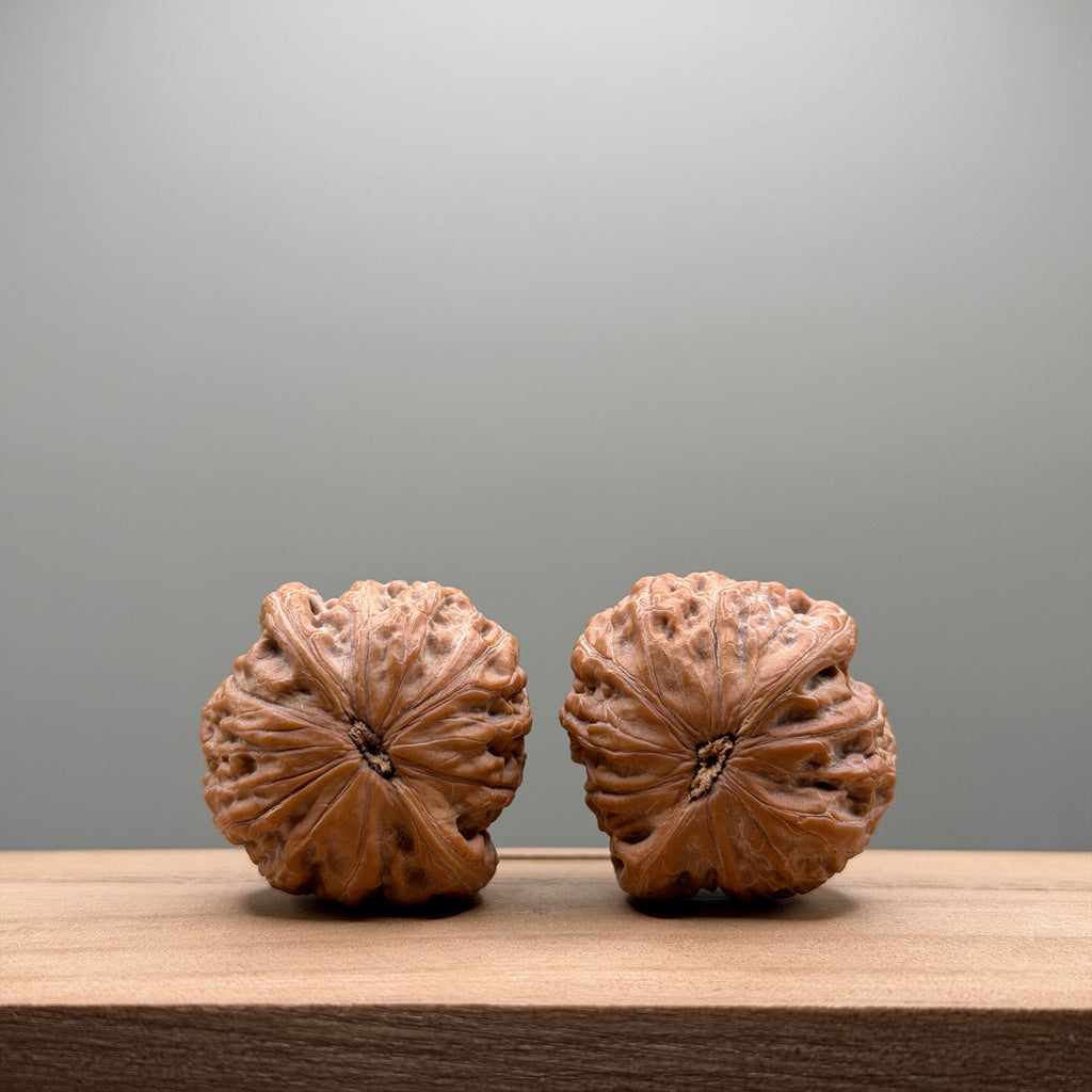 Hammer Lion Head Walnut