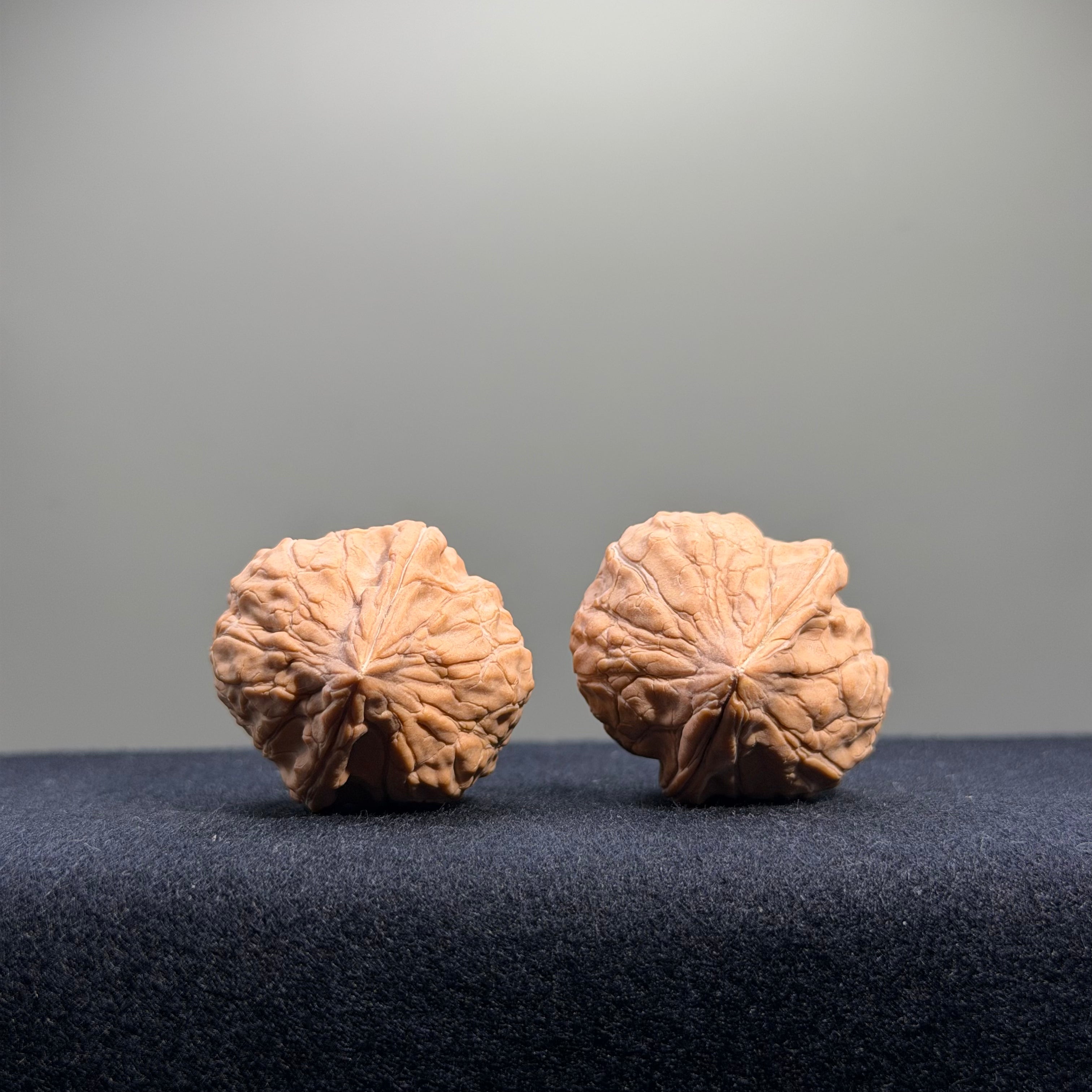 Turtle Shell Wenwan Walnut · 31mm · Natural · Entry Ritual