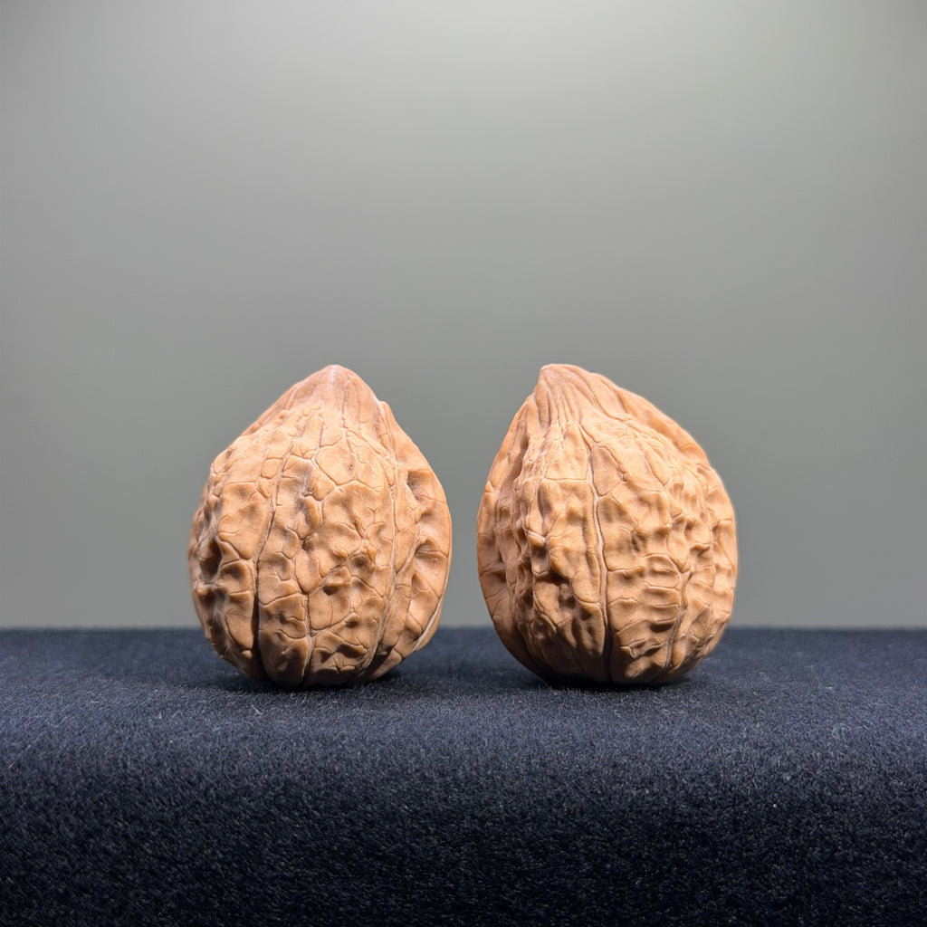 Turtle Shell Wenwan Walnut · 31mm · Natural · Entry Ritual
