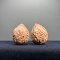Turtle Shell Wenwan Walnut · 31mm · Natural · Entry Ritual