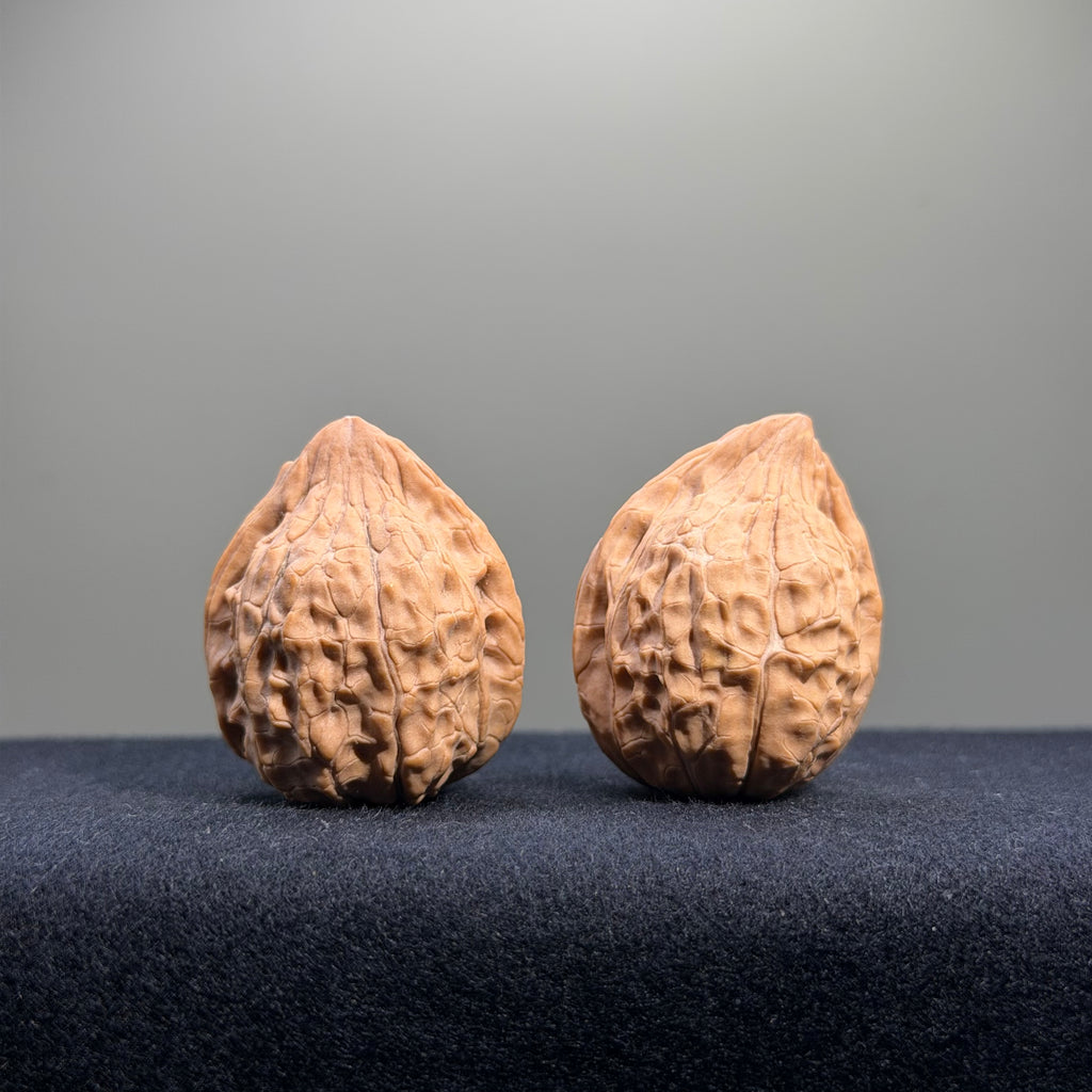 Turtle Shell Wenwan Walnut · 31mm · Natural · Entry Ritual