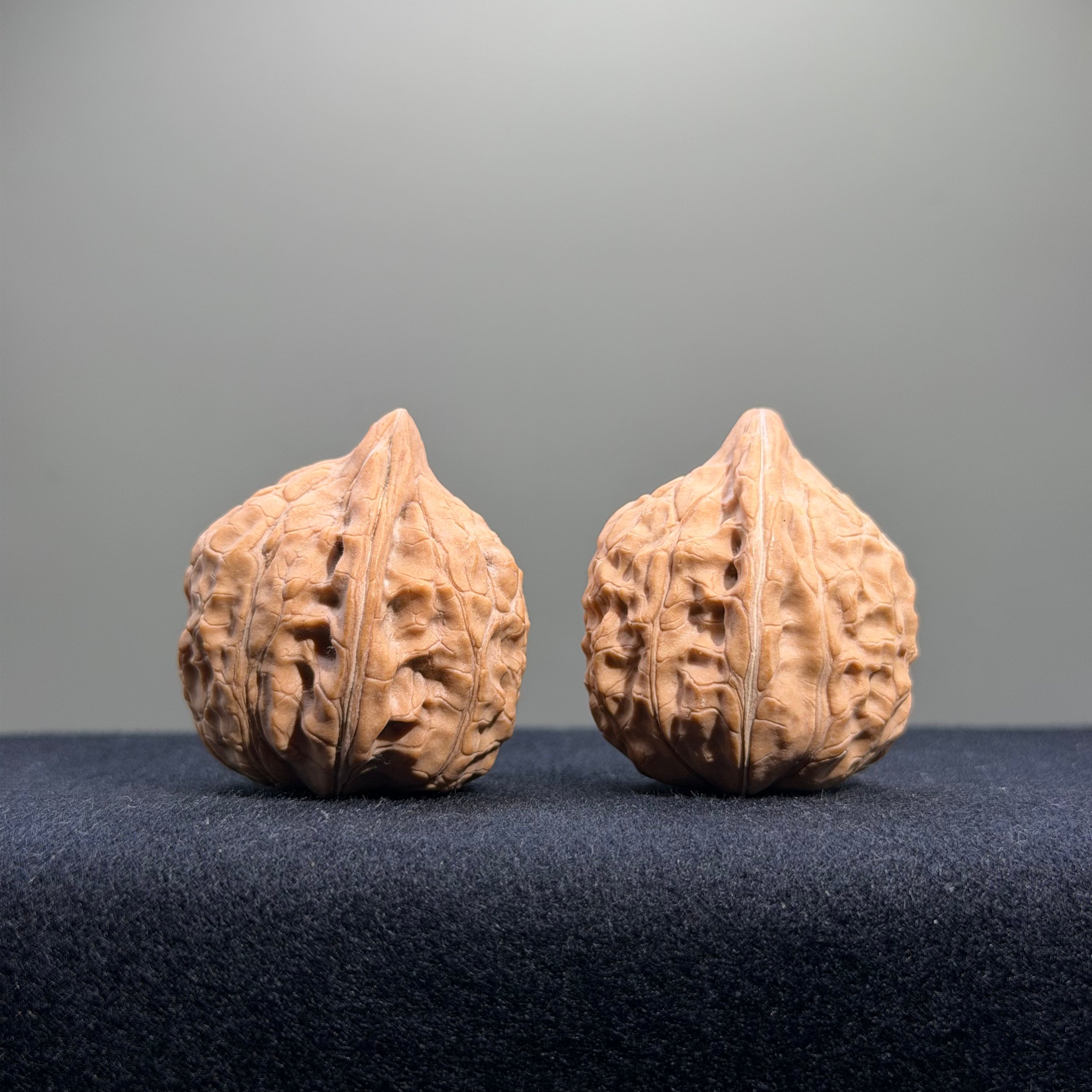 Turtle Shell Wenwan Walnut · 31mm · Natural · Entry Ritual