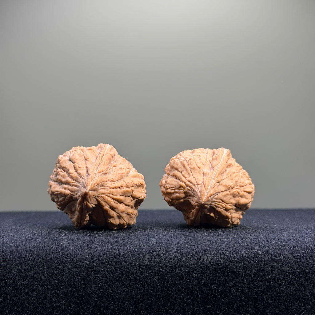 Turtle Shell Wenwan Walnut · 31mm · Natural · Entry Ritual