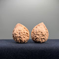 Turtle Shell Wenwan Walnut · 33mm · Natural · Entry Ritual