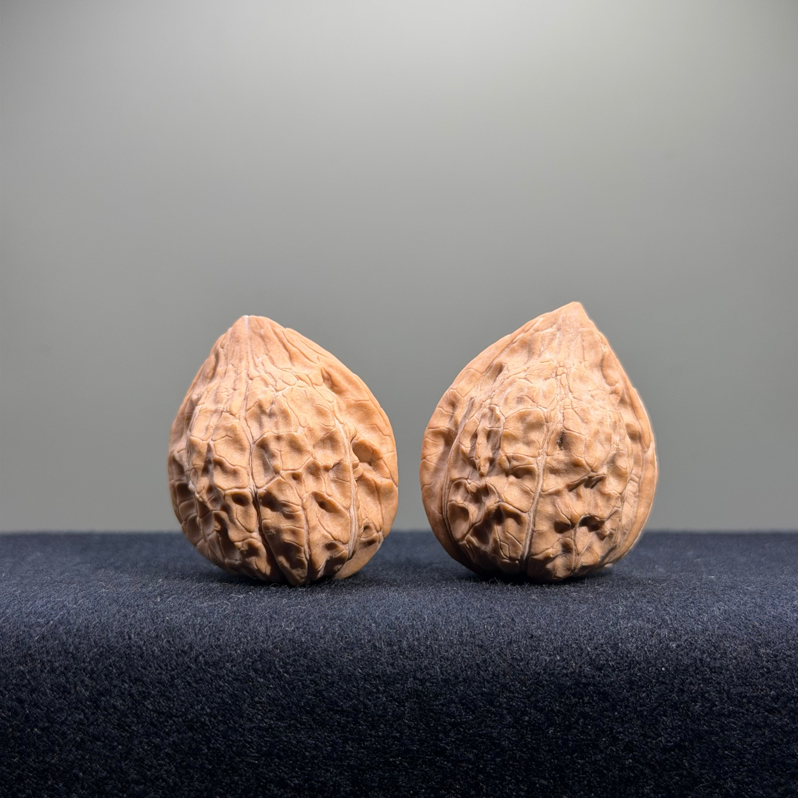Turtle Shell Wenwan Walnut · 33mm · Natural · Entry Ritual
