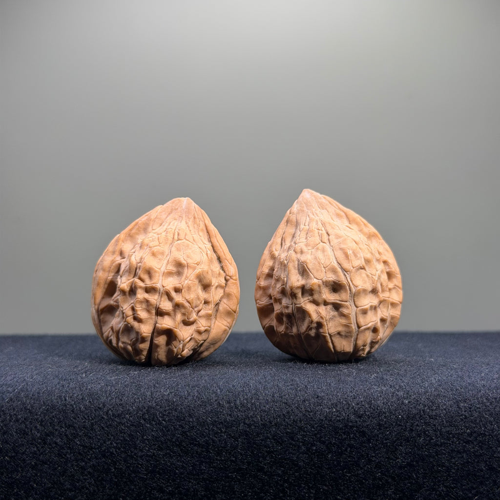 Turtle Shell Wenwan Walnut · 33mm · Natural · Entry Ritual