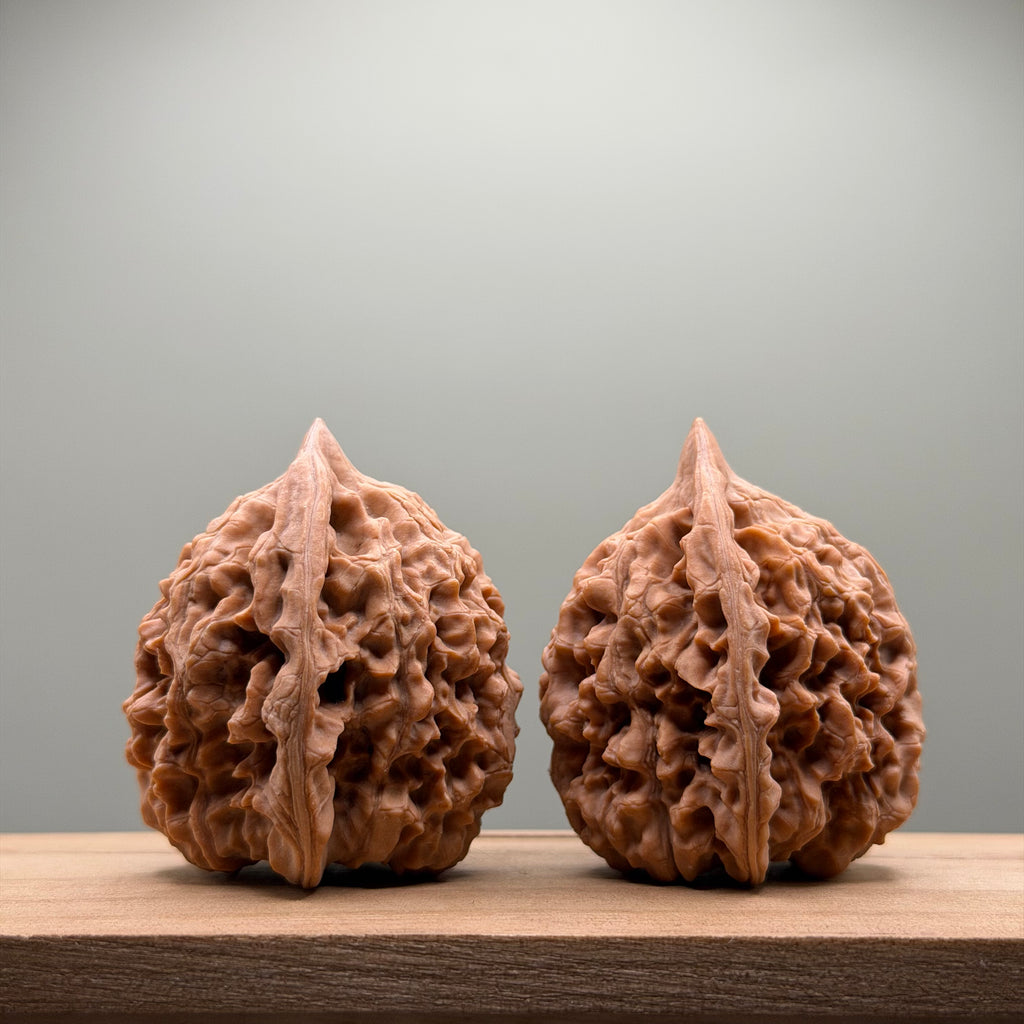 Official Hat Wenwan Walnut