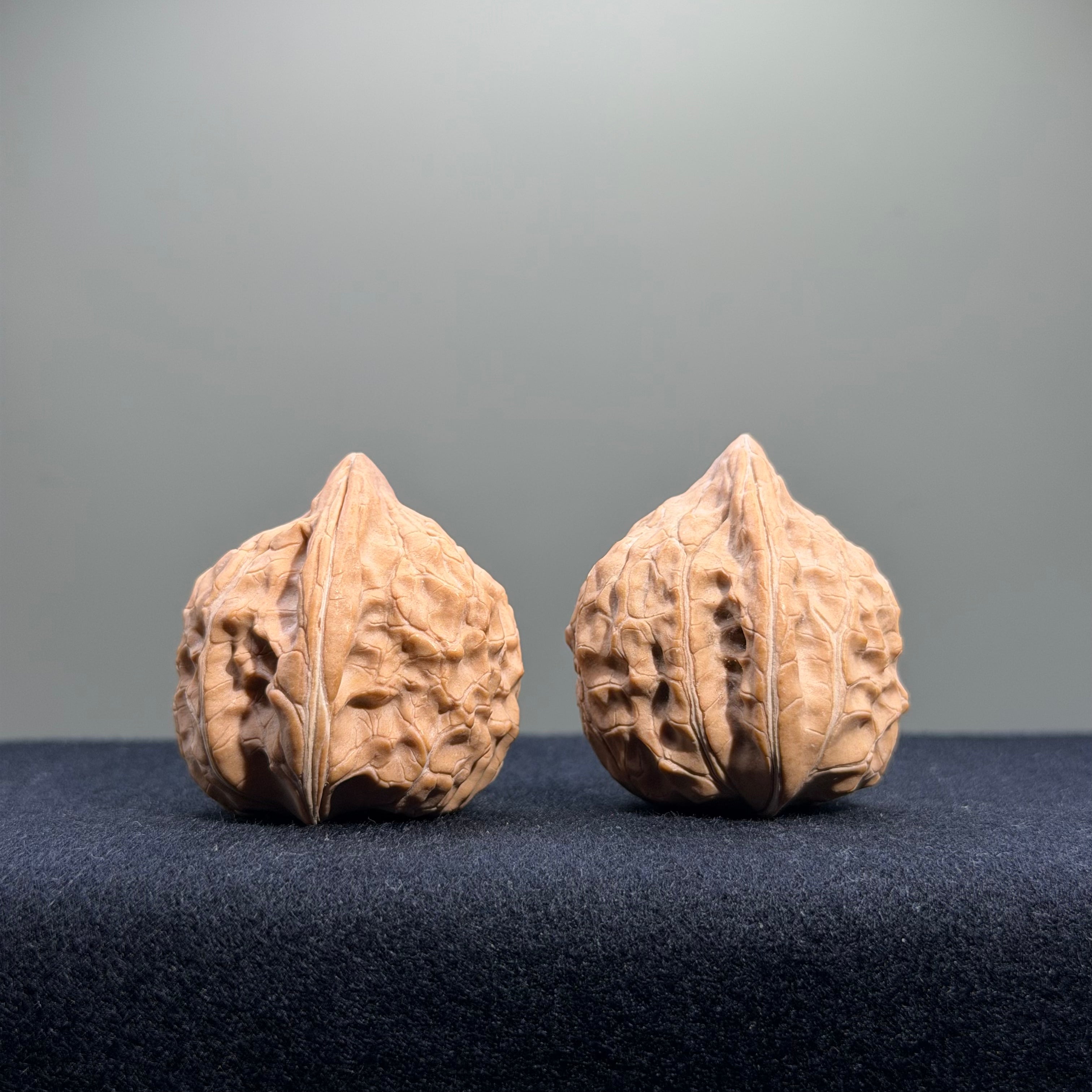 Turtle Shell Wenwan Walnut · 33mm · Natural · Entry Ritual
