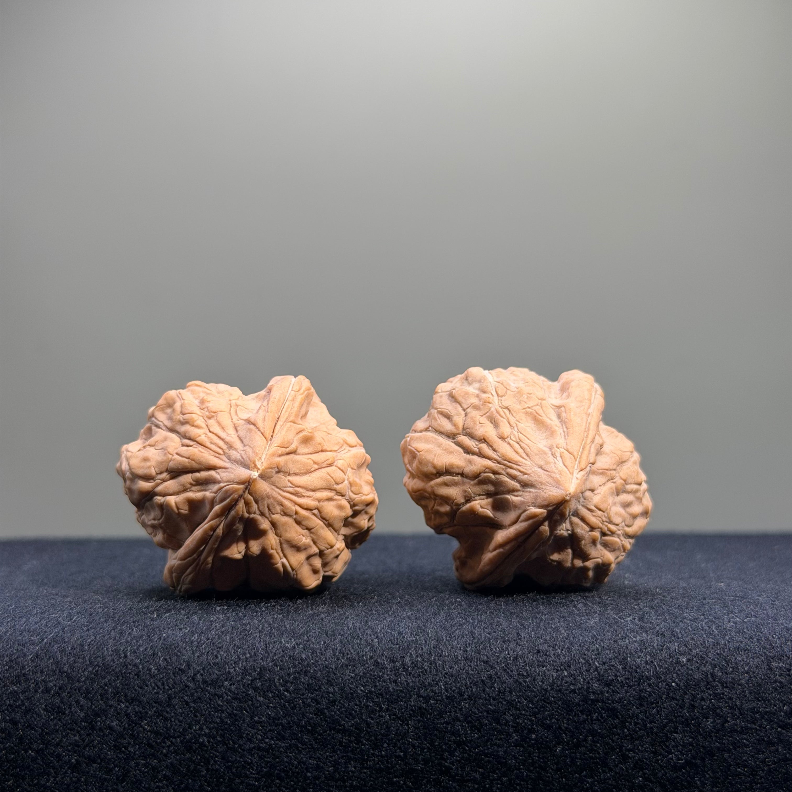 Turtle Shell Wenwan Walnut · 33mm · Natural · Entry Ritual
