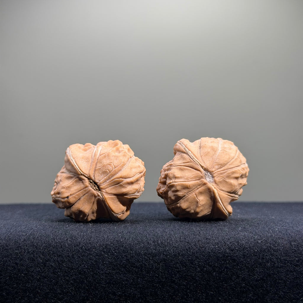 Turtle Shell Wenwan Walnut · 33mm · Natural · Entry Ritual