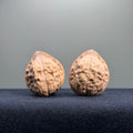 Turtle Shell Wenwan Walnut · 30mm · Natural · Entry Ritual