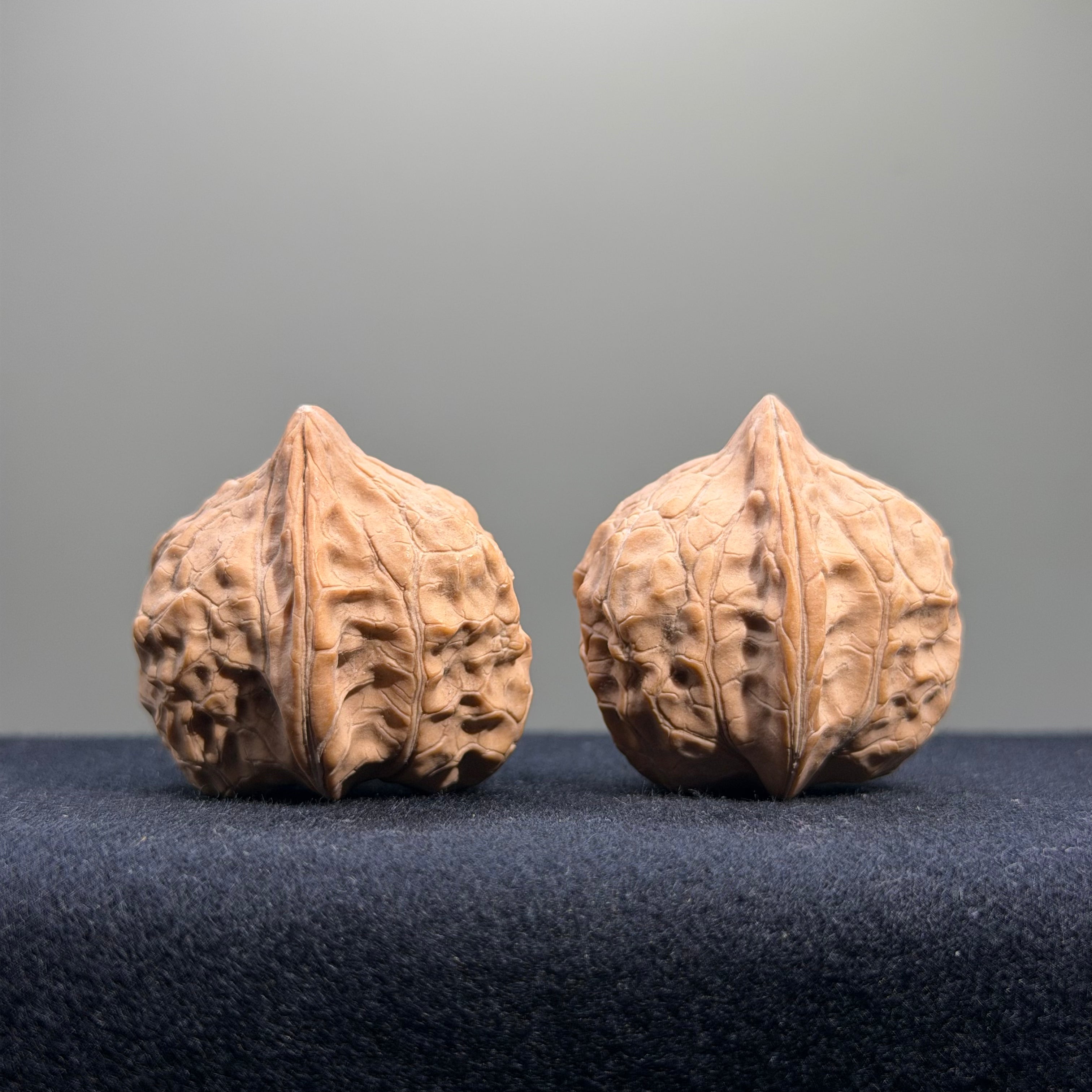 Turtle Shell Wenwan Walnut · 30mm · Natural · Entry Ritual