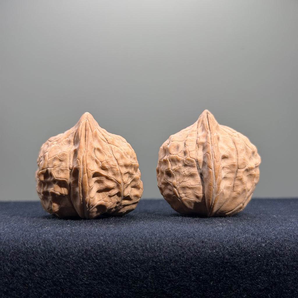 Turtle Shell Wenwan Walnut · 30mm · Natural · Entry Ritual