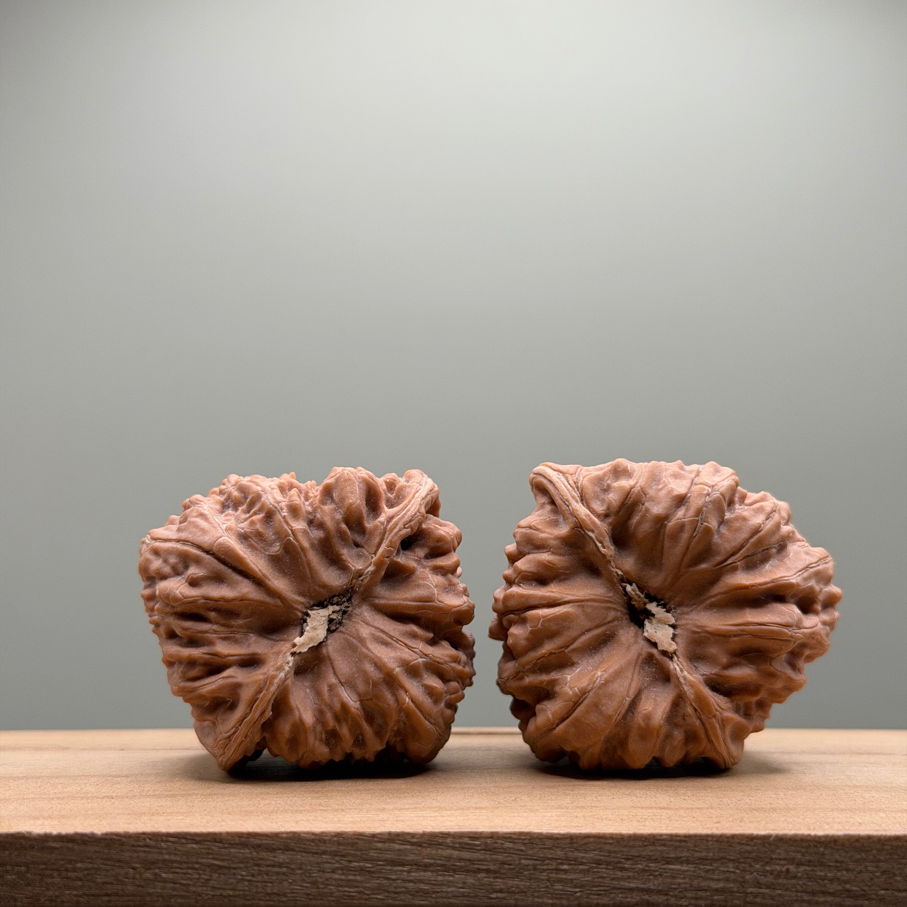 Pinggu Concave Base Lion Head Walnut