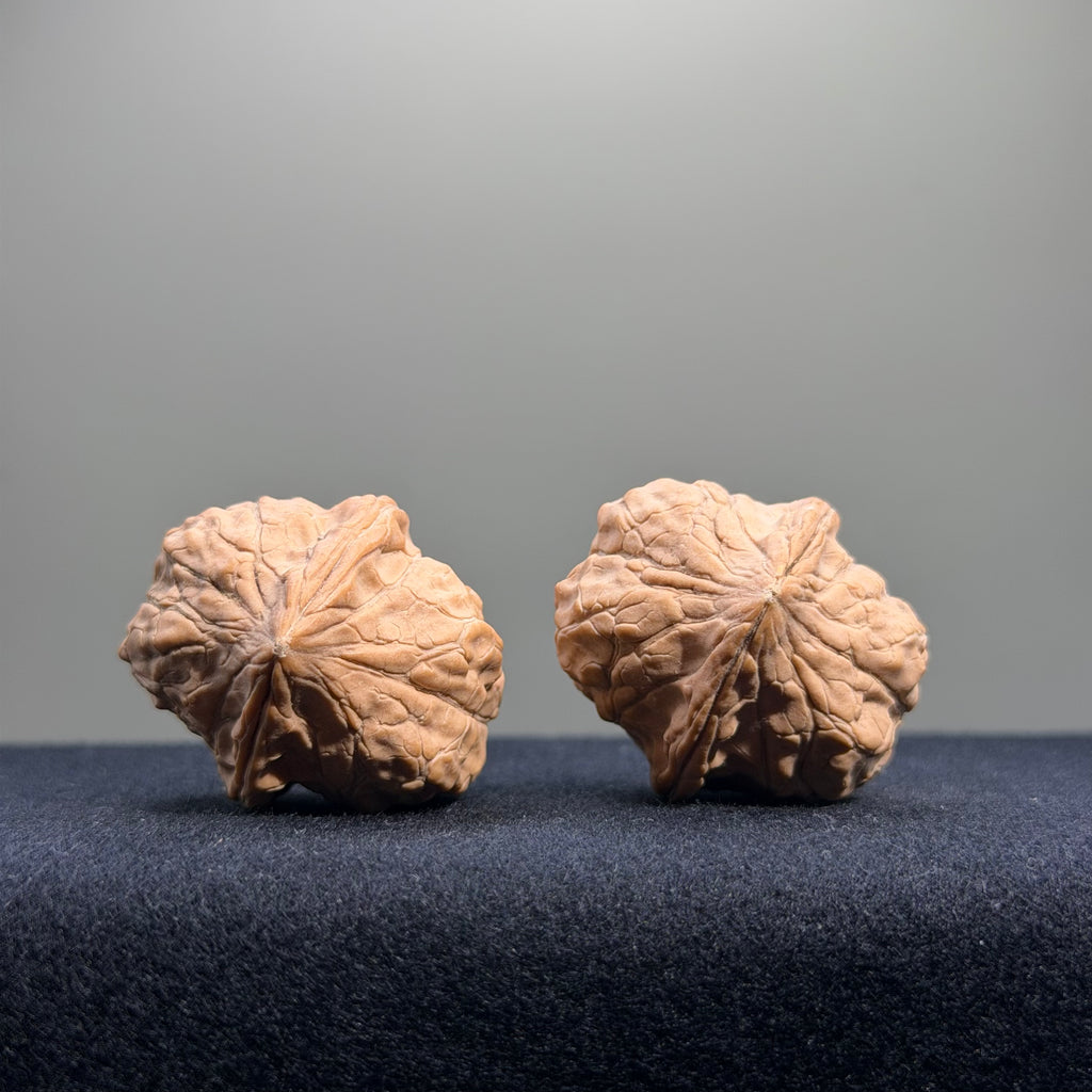 Turtle Shell Wenwan Walnut · 30mm · Natural · Entry Ritual