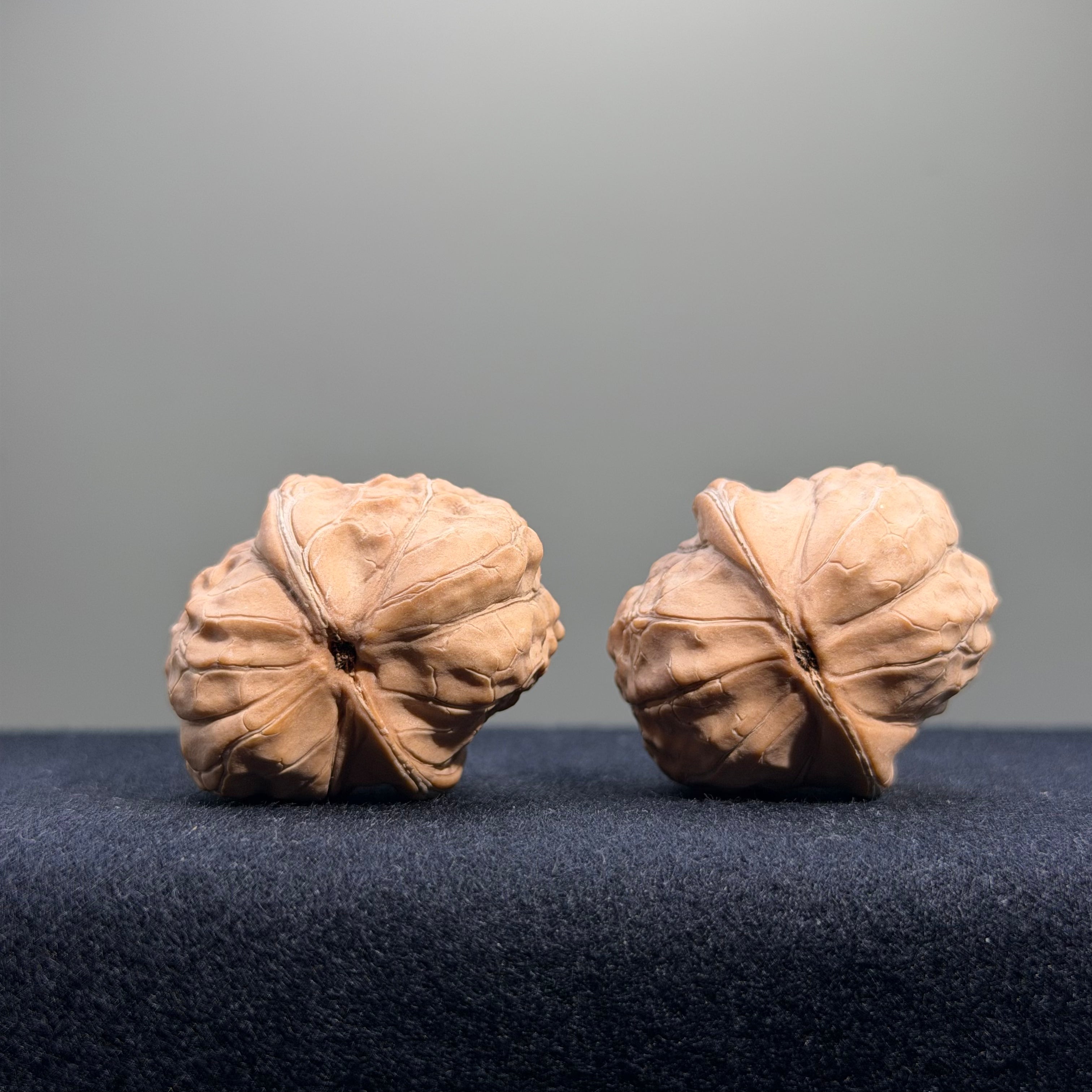 Turtle Shell Wenwan Walnut · 30mm · Natural · Entry Ritual