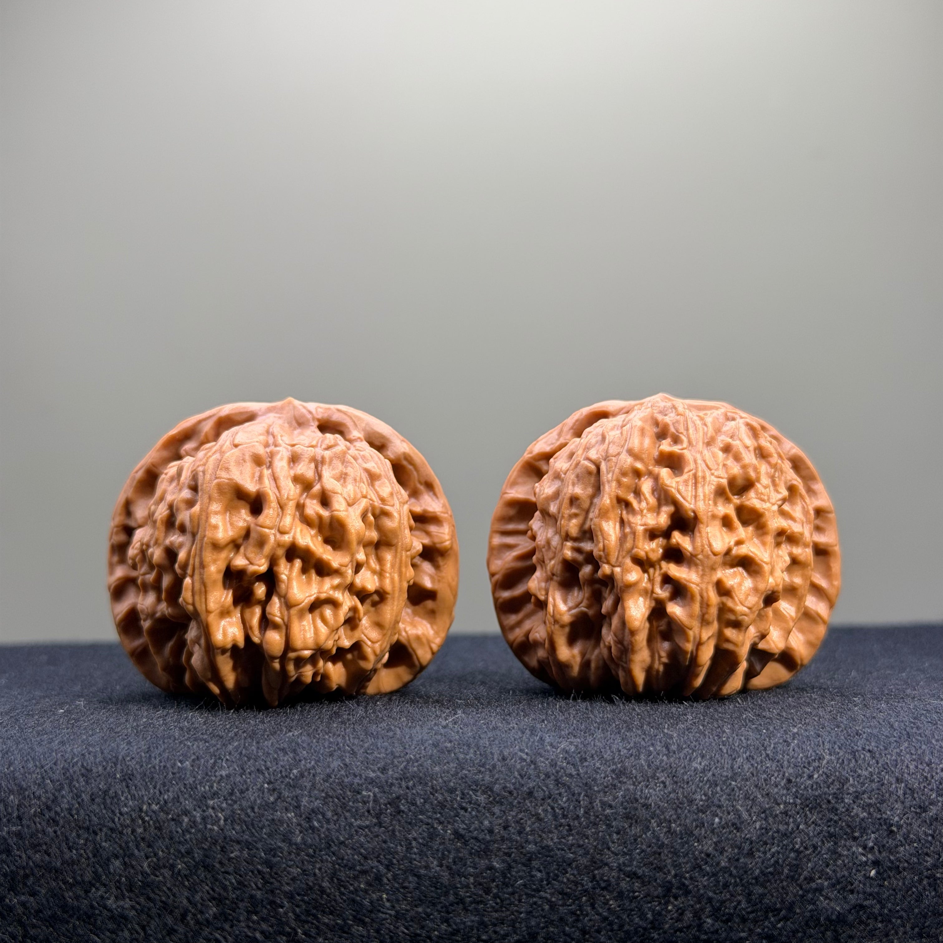 White Lion Wenwan Walnut · 39mm · Select Ritual