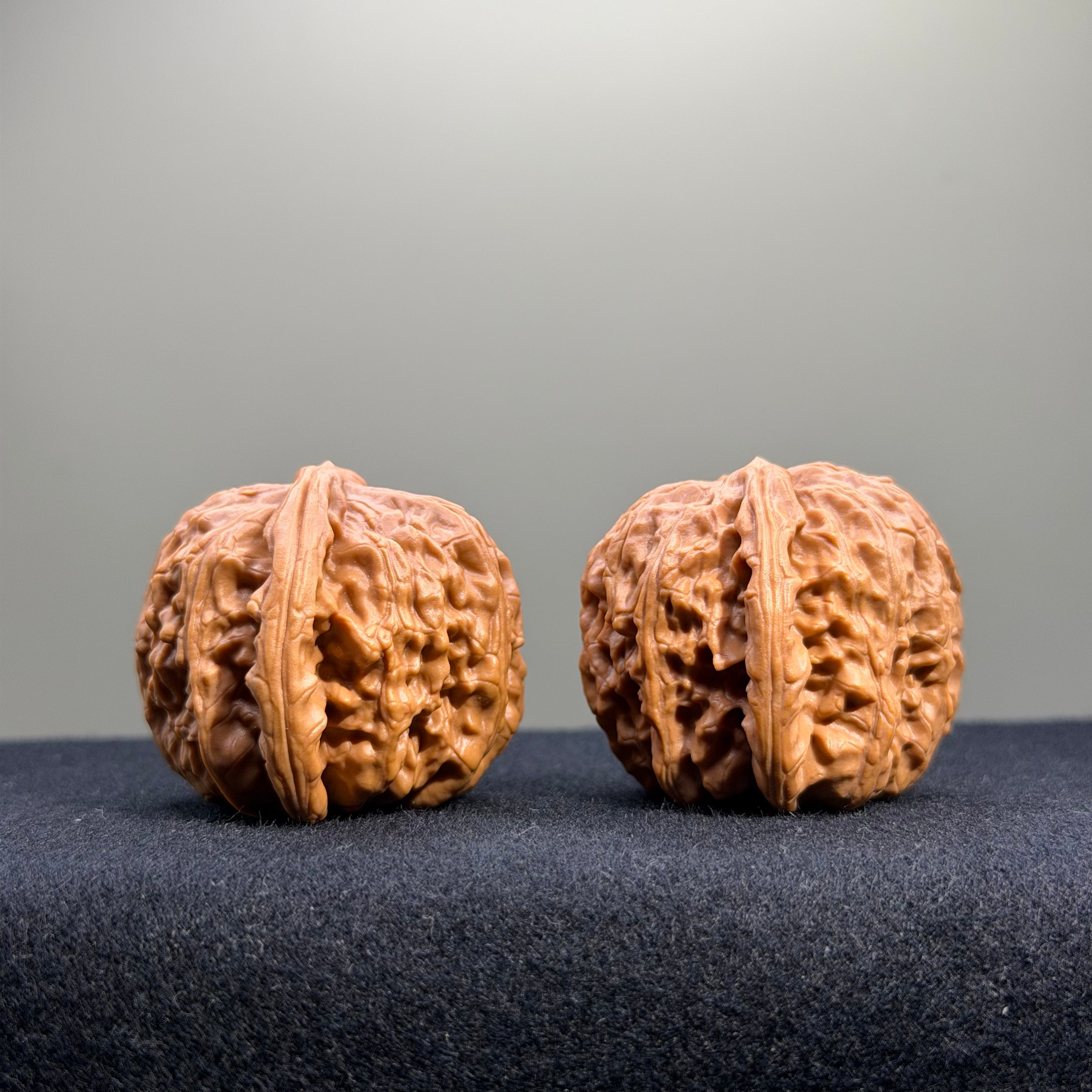 White Lion Wenwan Walnut · 39mm · Select Ritual