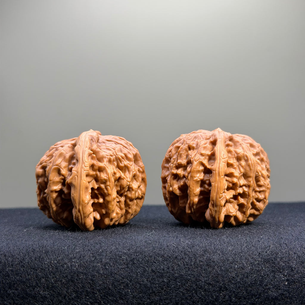 White Lion Wenwan Walnut · 39mm · Select Ritual