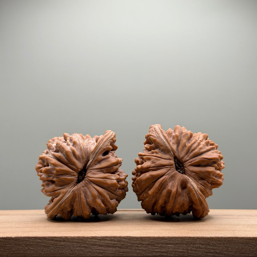 Si Zuo Lou Lion Head Walnut