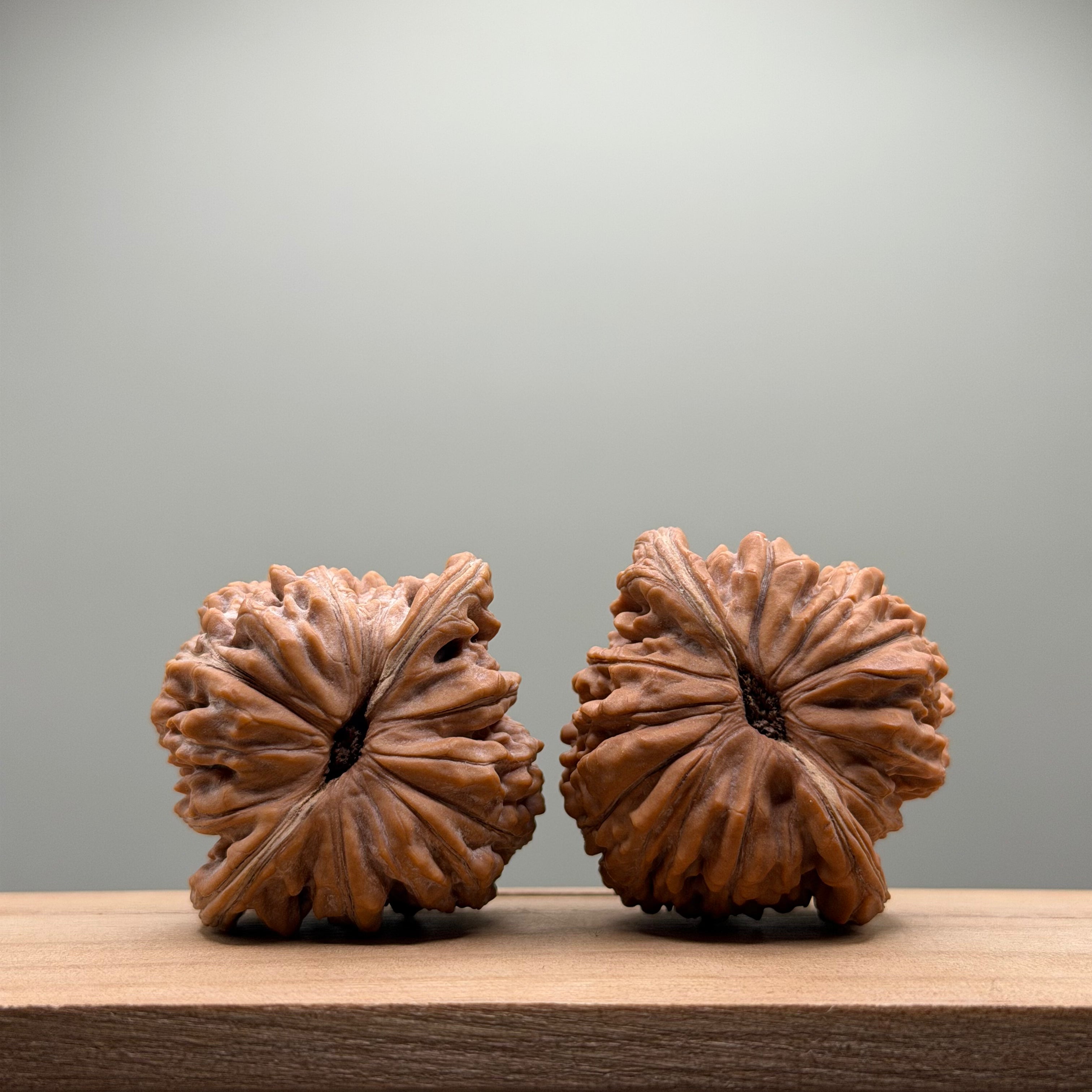 Si Zuo Lou Lion Head Walnut