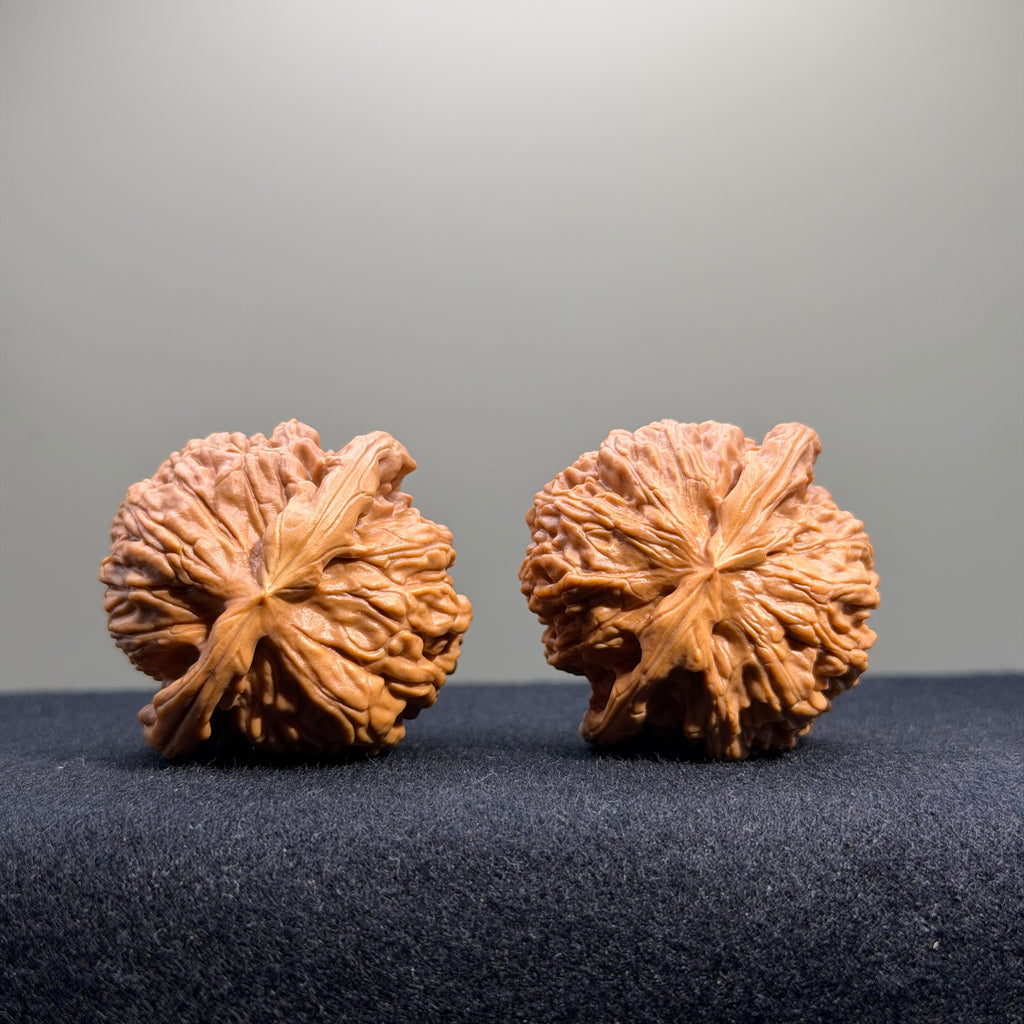 White Lion Wenwan Walnut · 39mm · Select Ritual